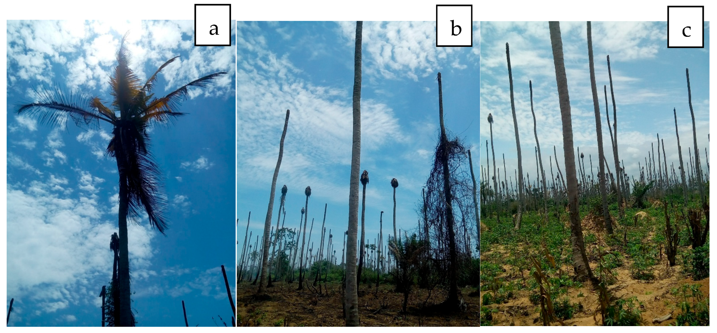 Microorganisms 13 01229 g003