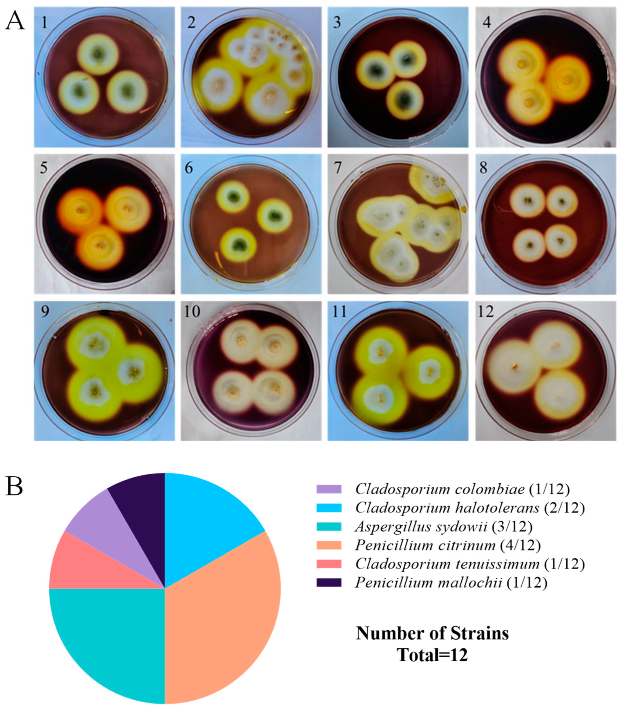 Microorganisms 13 01235 g001