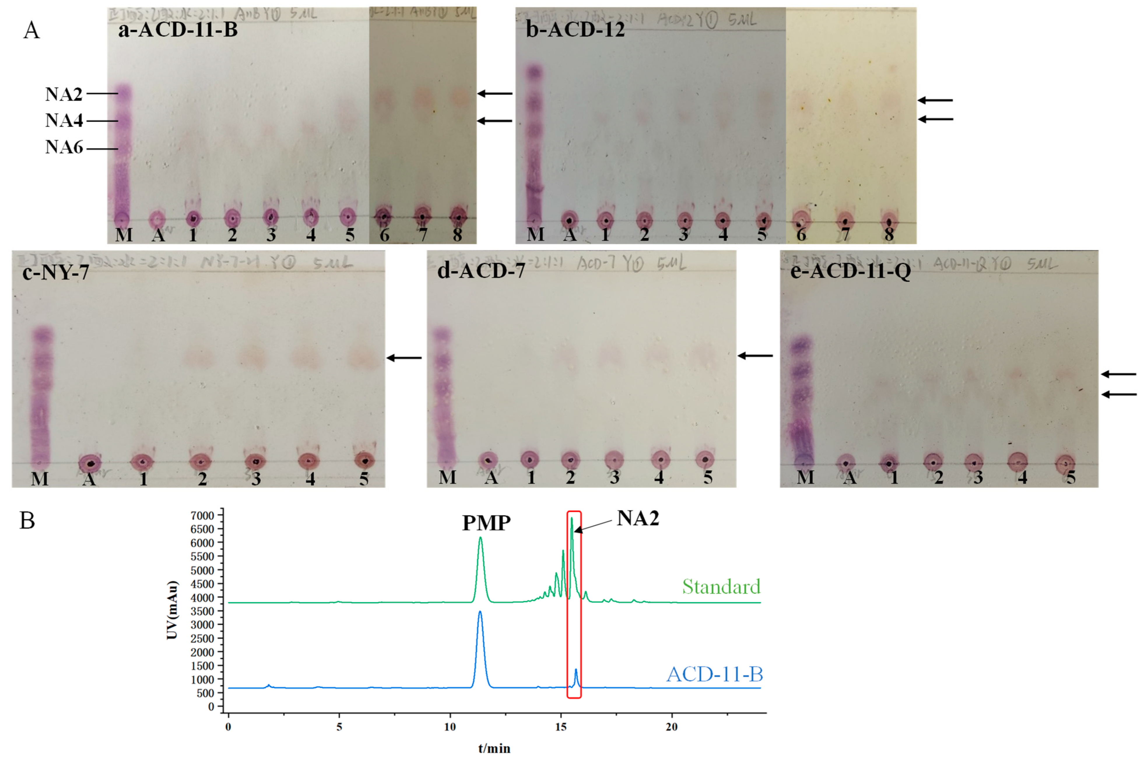Microorganisms 13 01235 g005