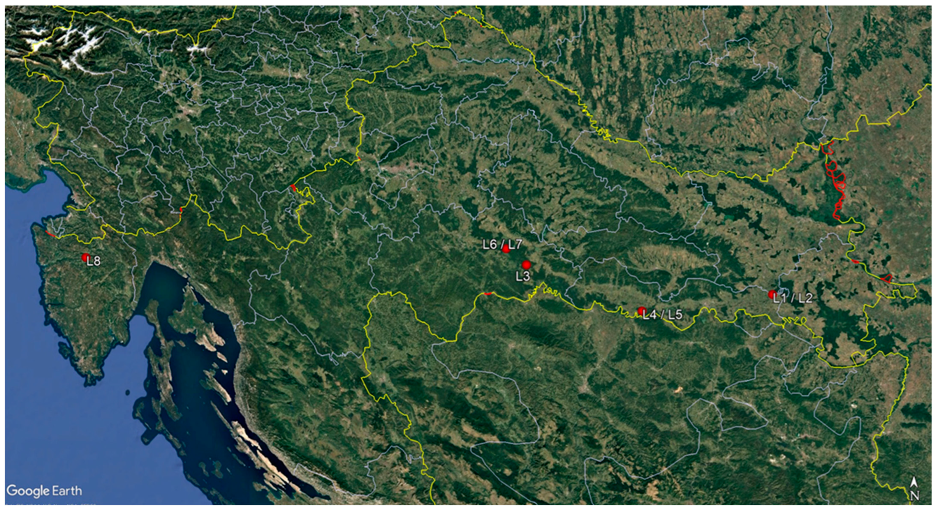 Microorganisms 13 01238 g001