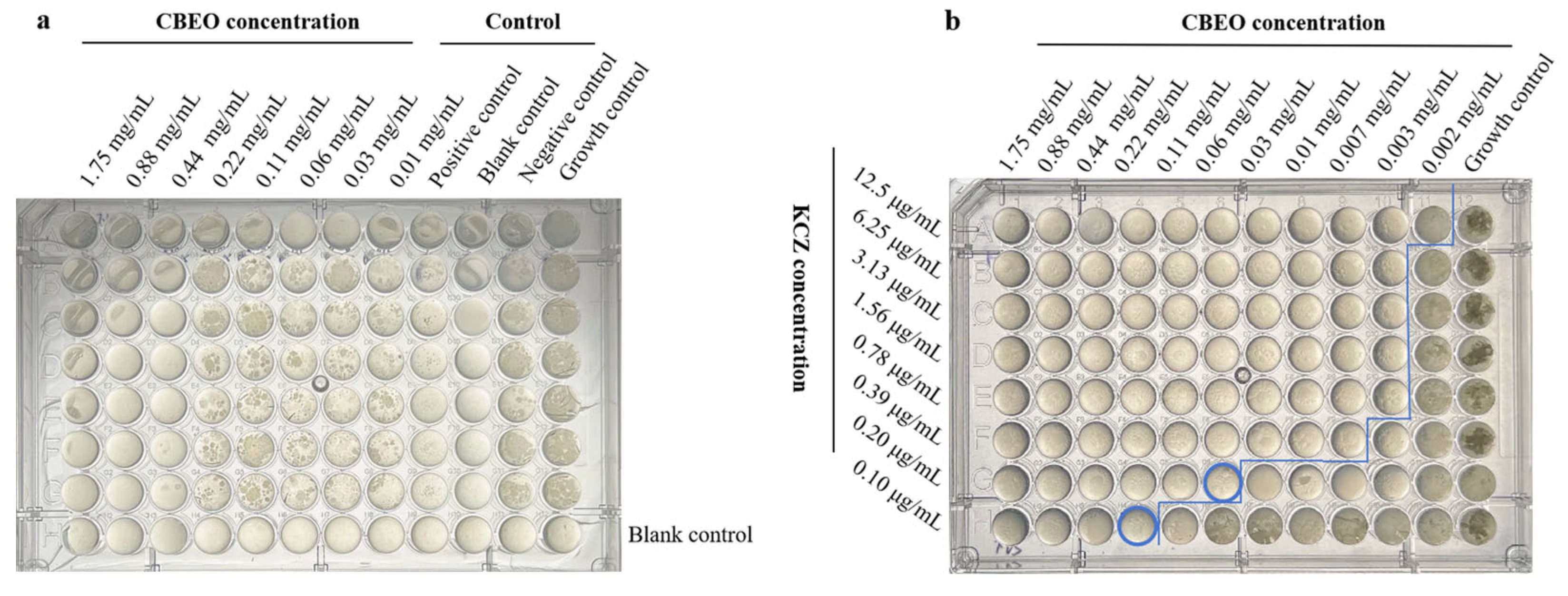 Microorganisms 13 01241 g005