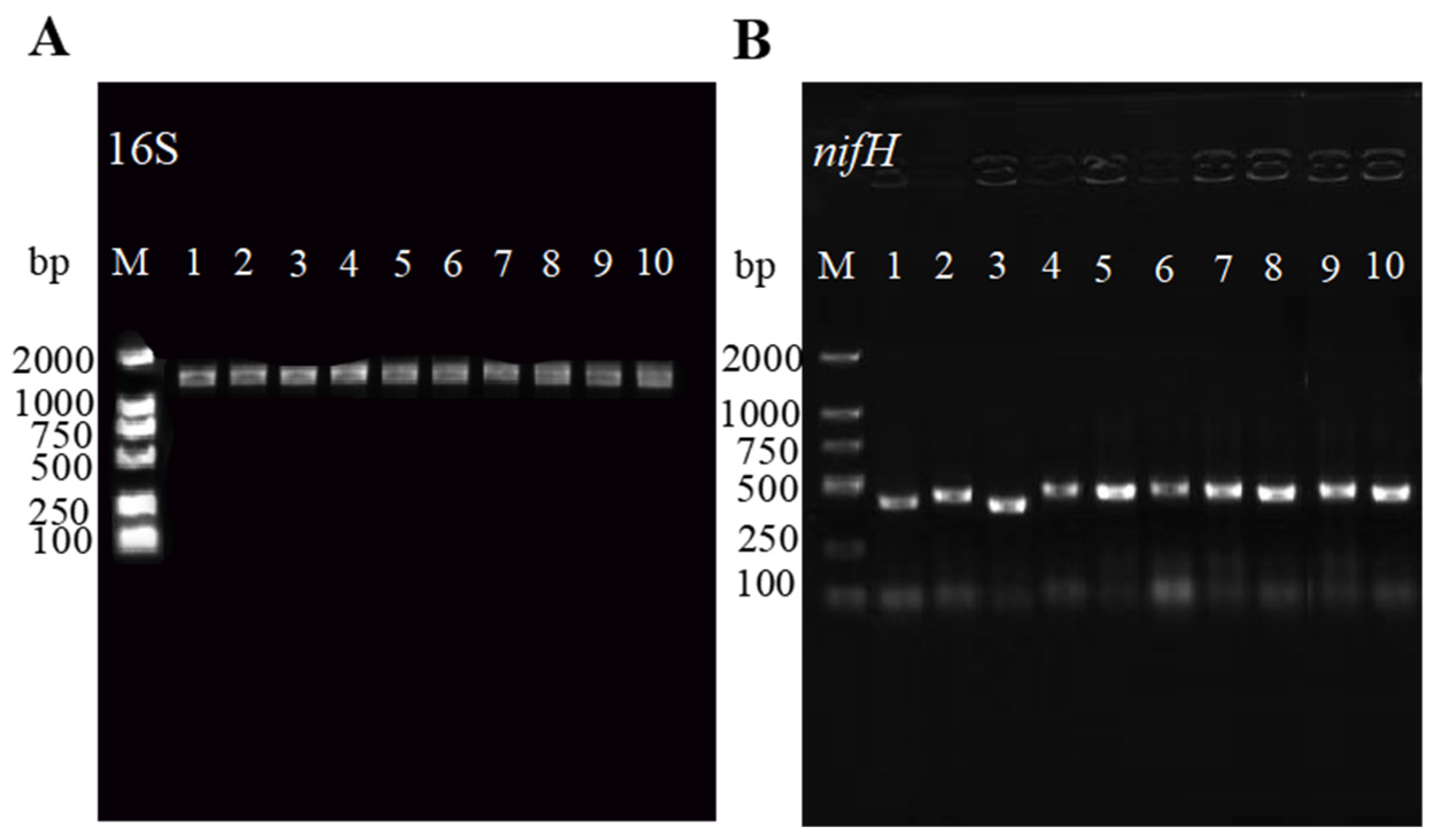 Microorganisms 13 01242 g002