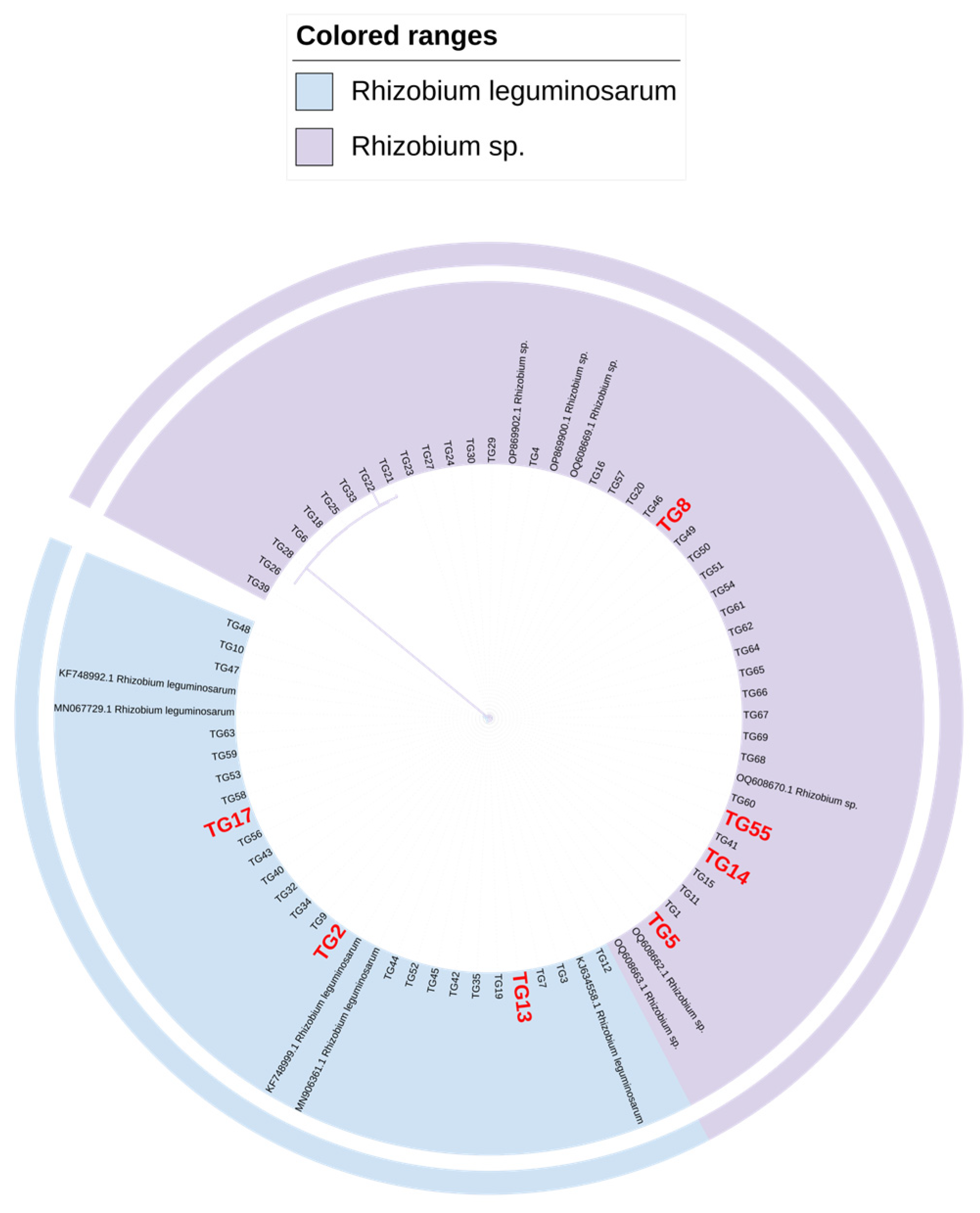 Microorganisms 13 01242 g003