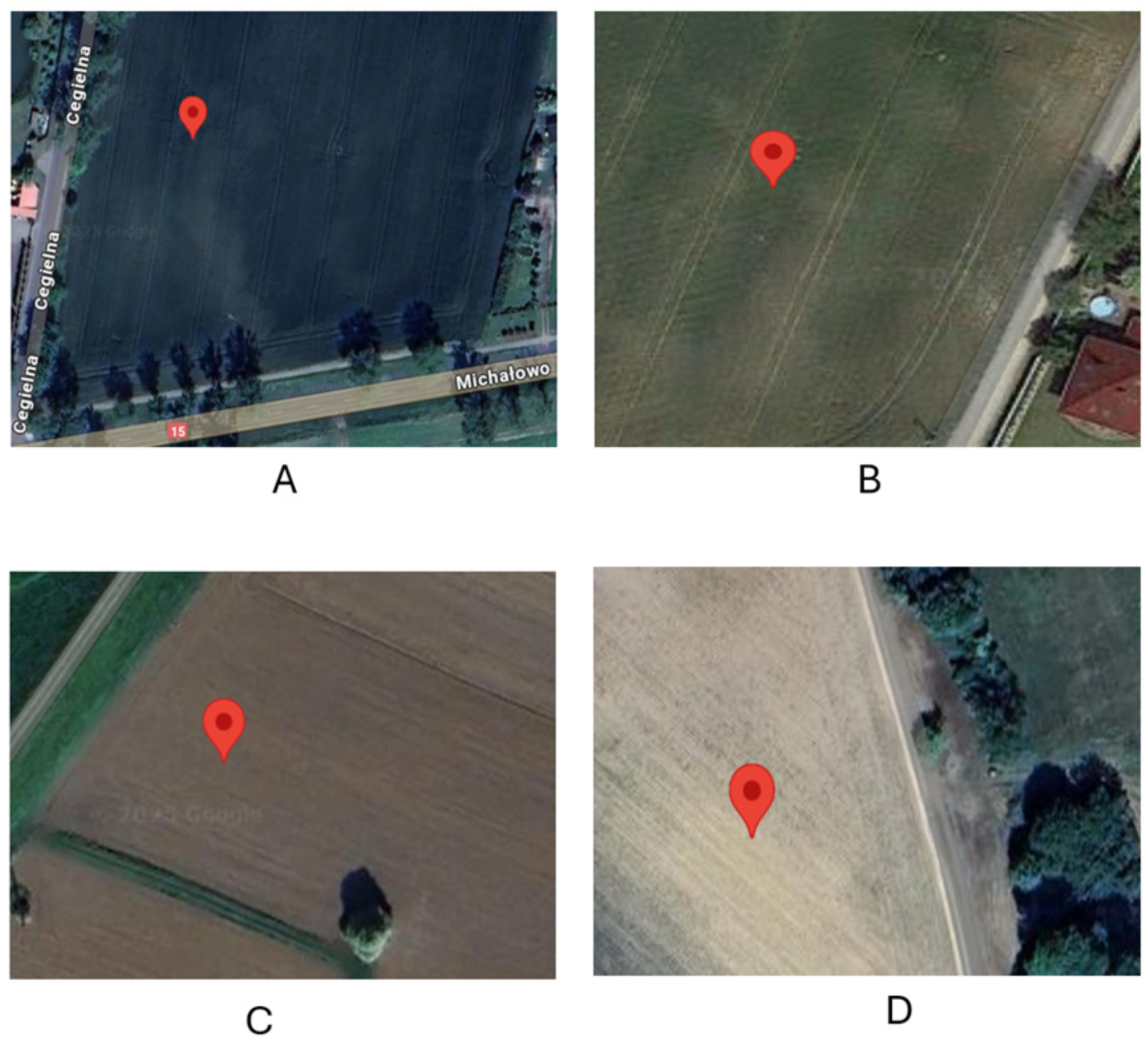Microorganisms 13 01245 g001