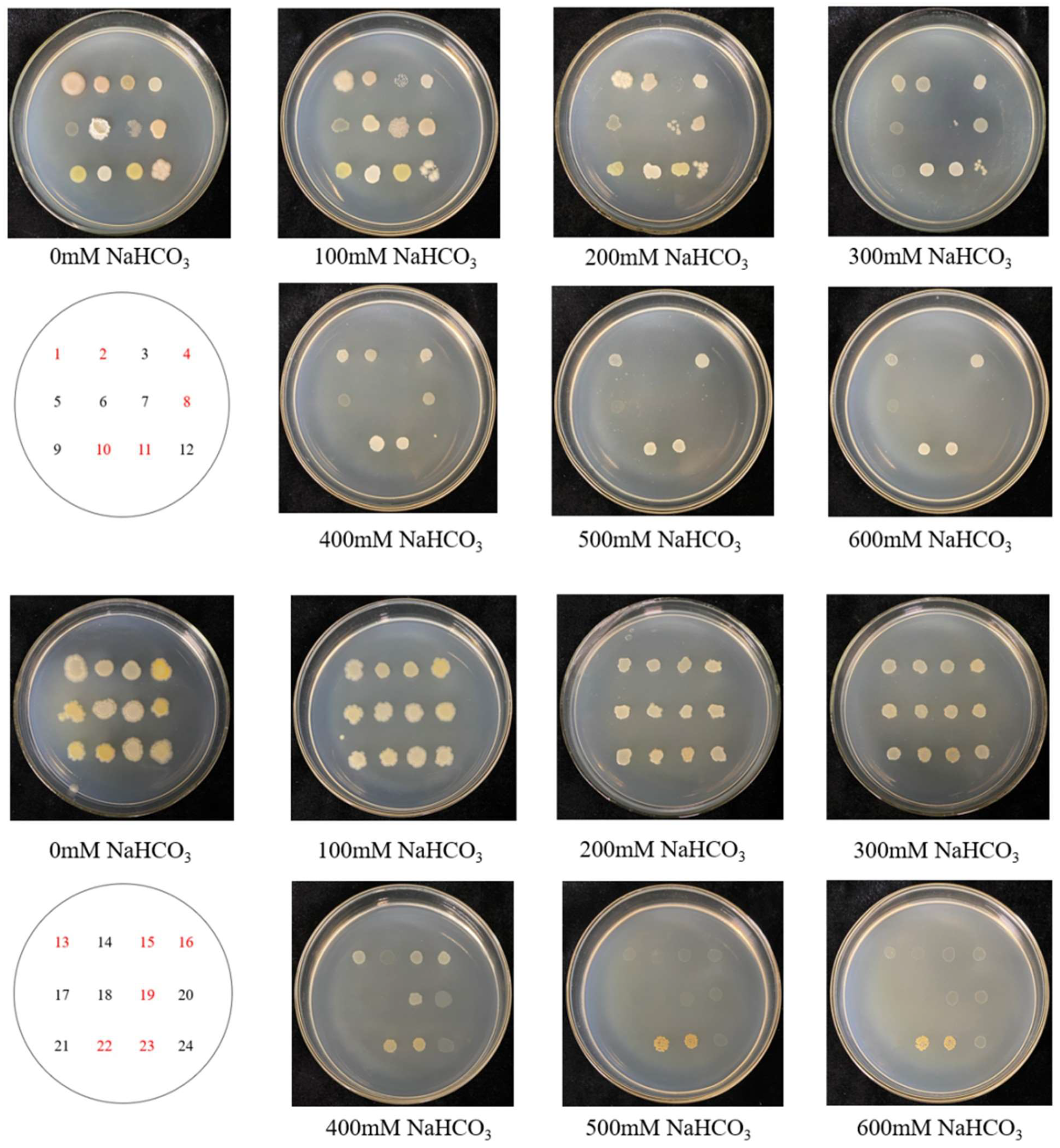 Microorganisms 13 01248 g002