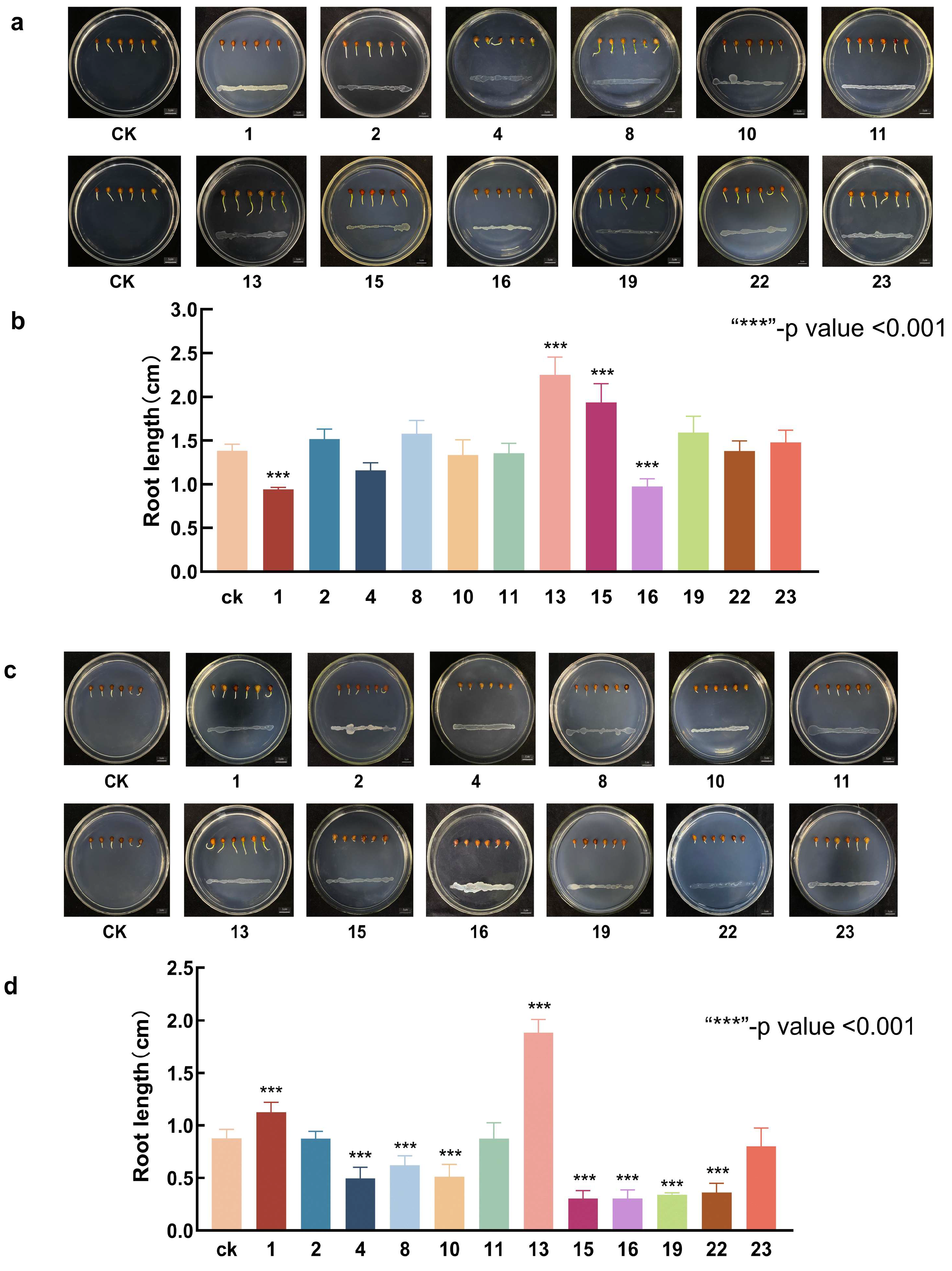 Microorganisms 13 01248 g003
