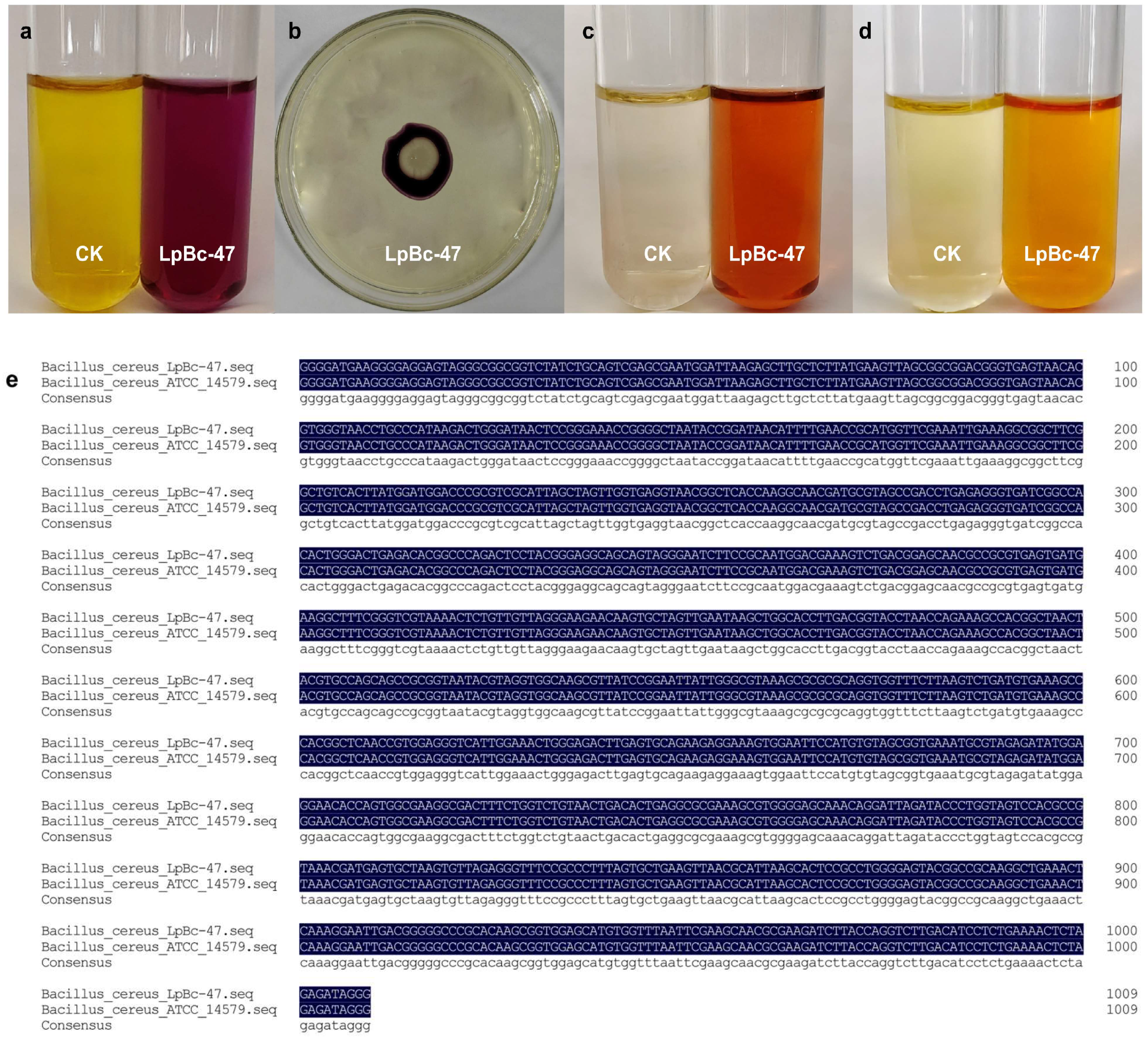 Microorganisms 13 01248 g004