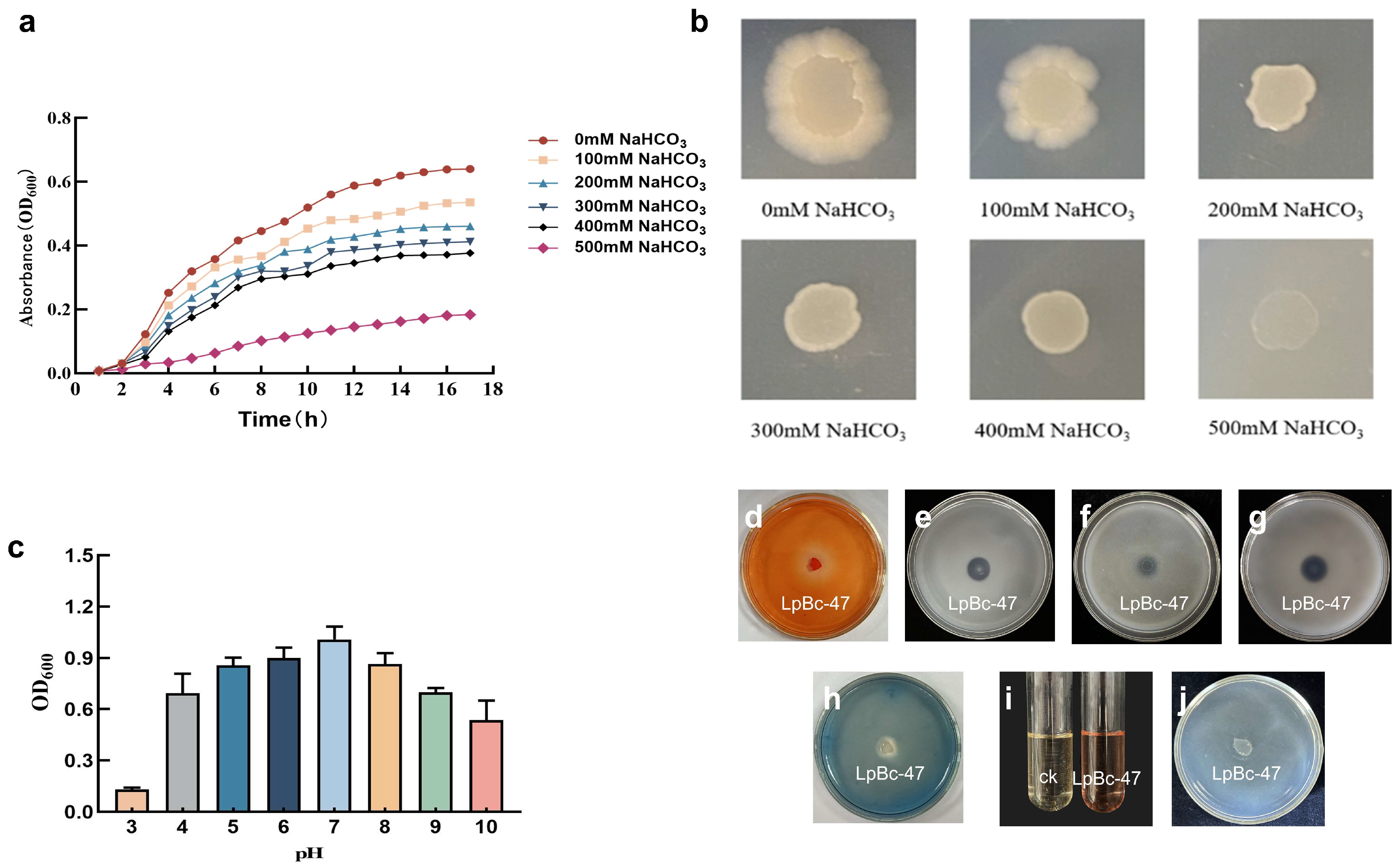 Microorganisms 13 01248 g006
