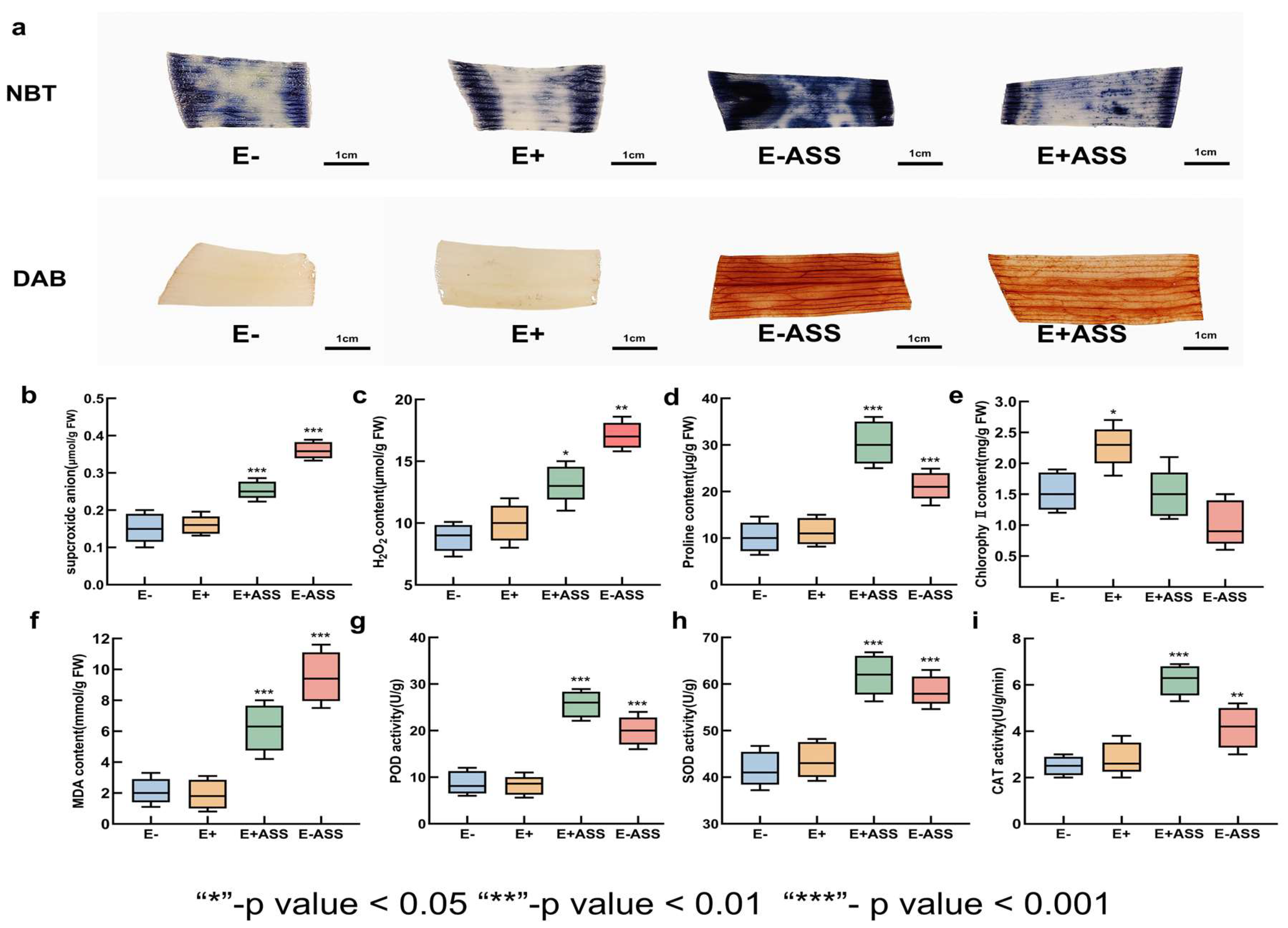 Microorganisms 13 01248 g009