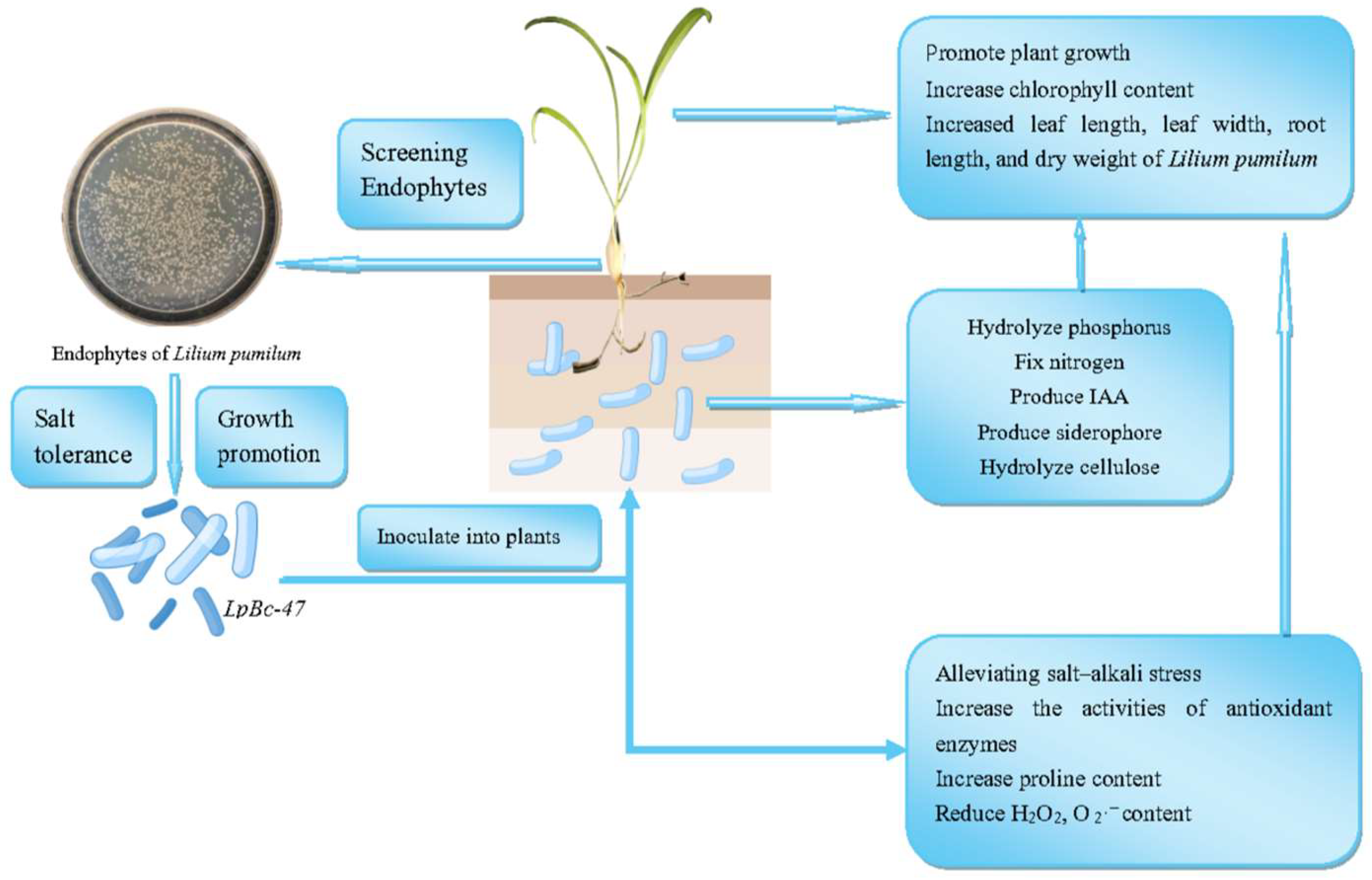 Microorganisms 13 01248 g010