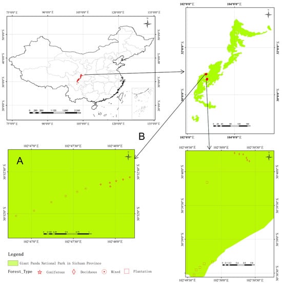 Microorganisms 13 01249 g0a1