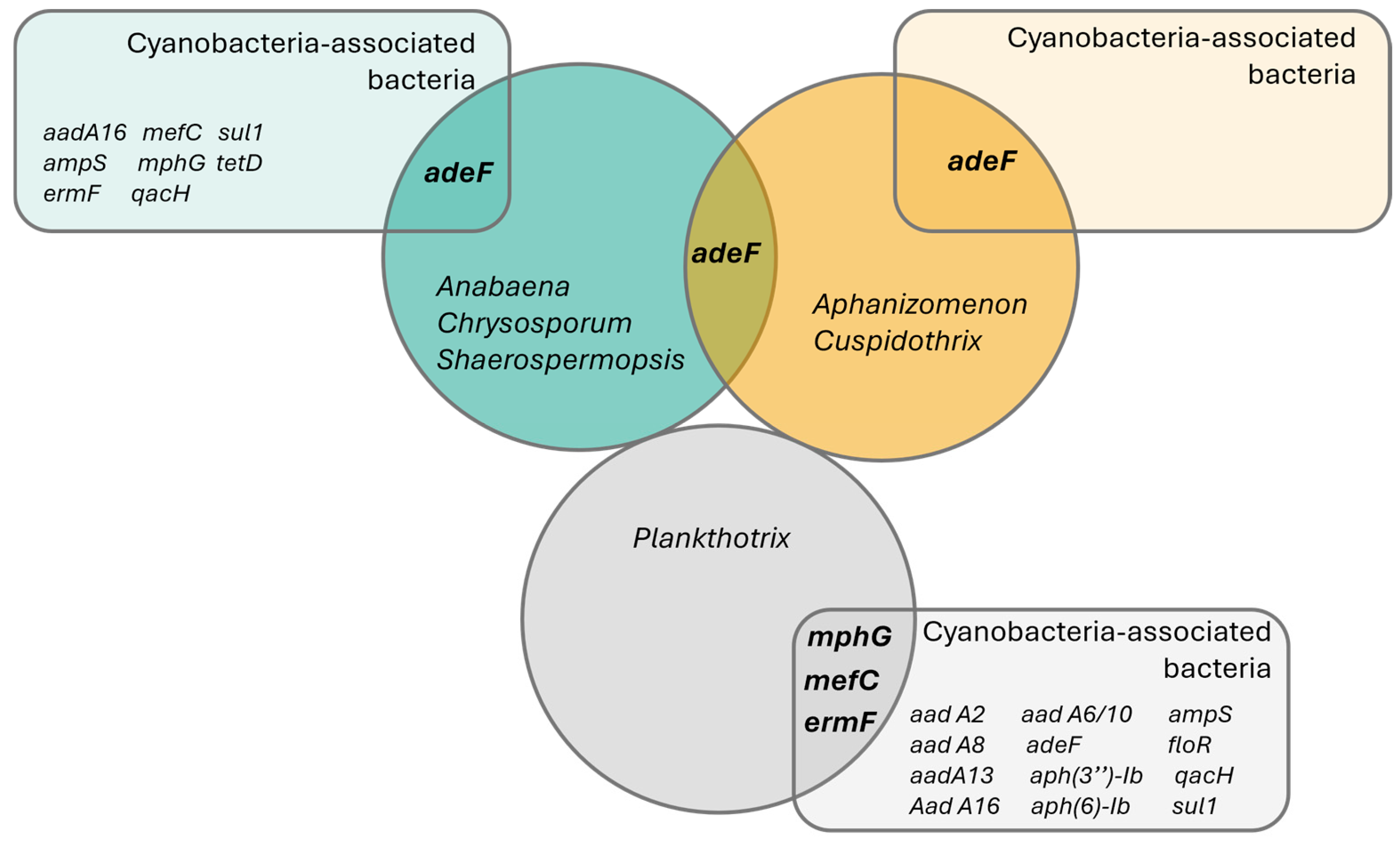 Microorganisms 13 01252 g005