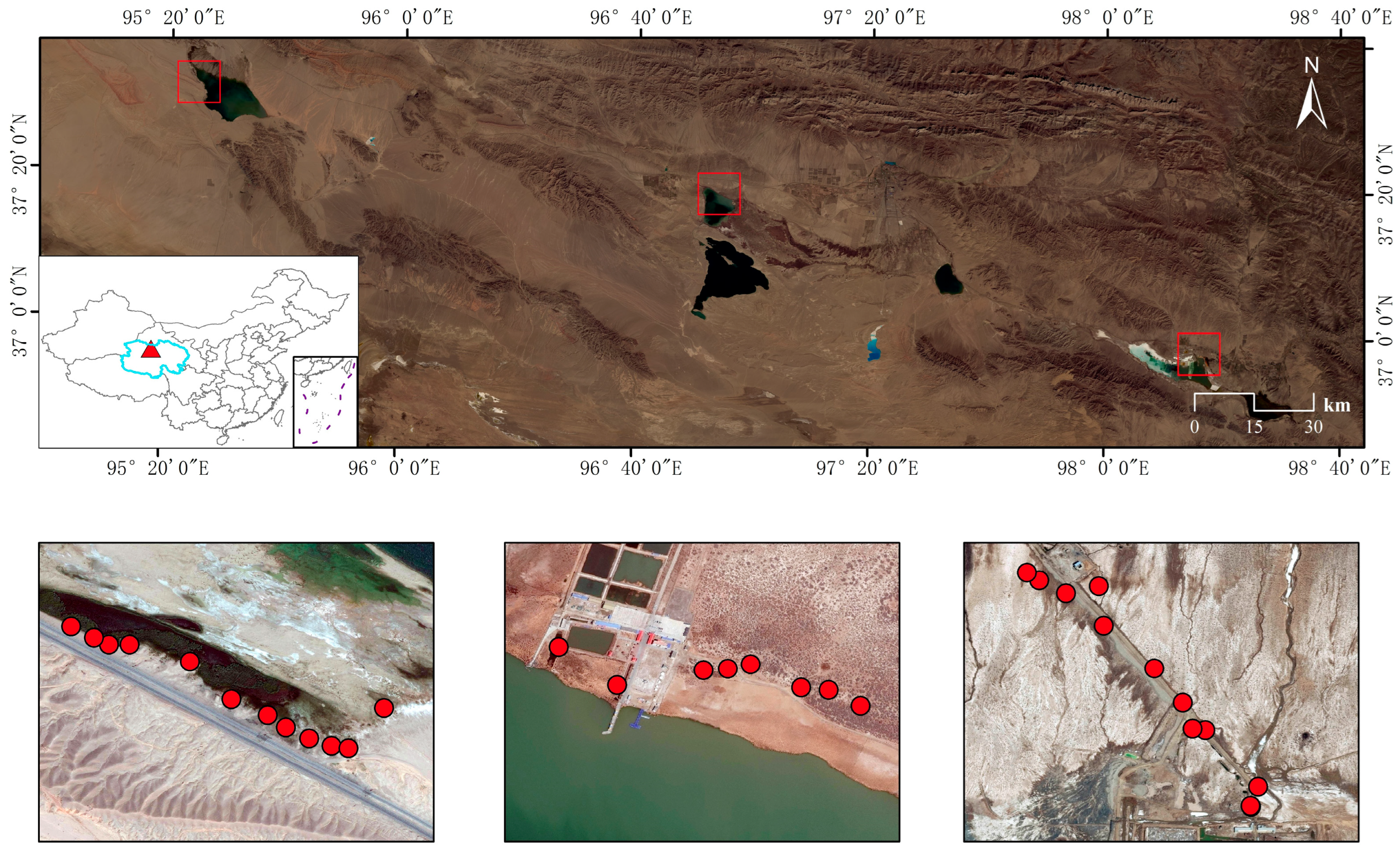 Microorganisms 13 01253 g001