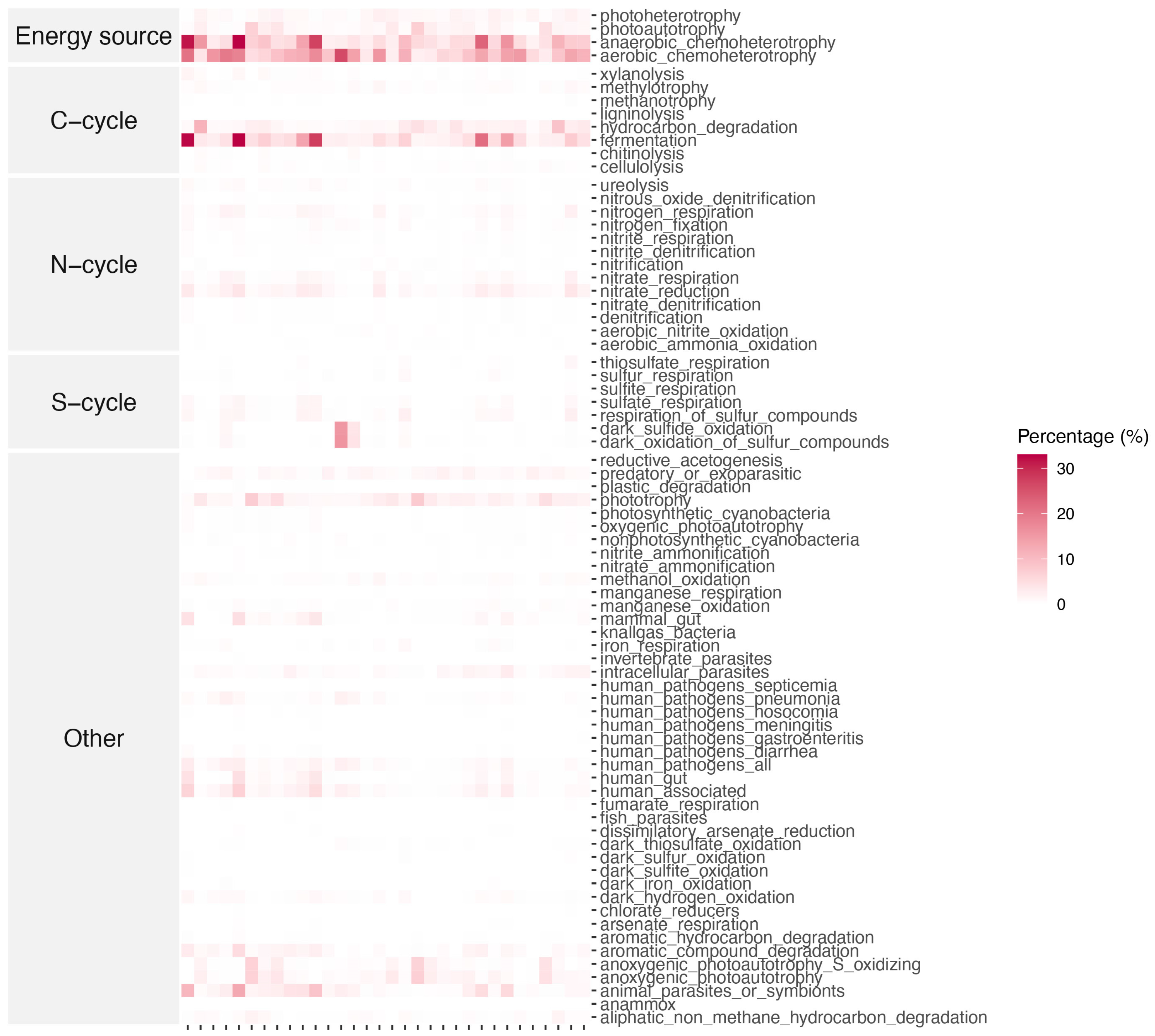 Microorganisms 13 01253 g005