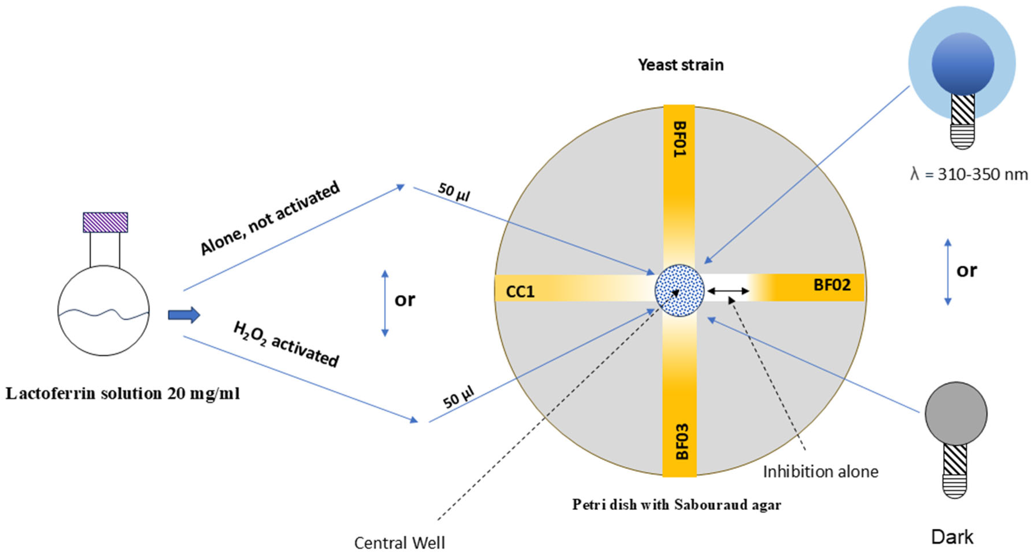 Microorganisms 13 01255 g001