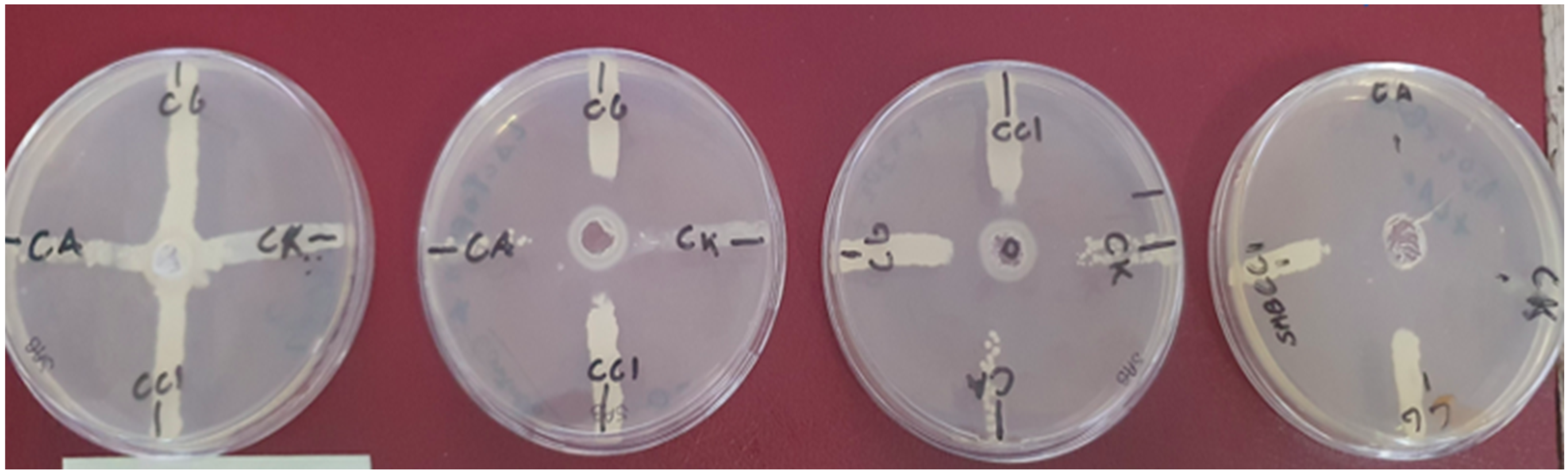 Microorganisms 13 01255 g002