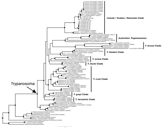 Microorganisms 13 01257 g0a1