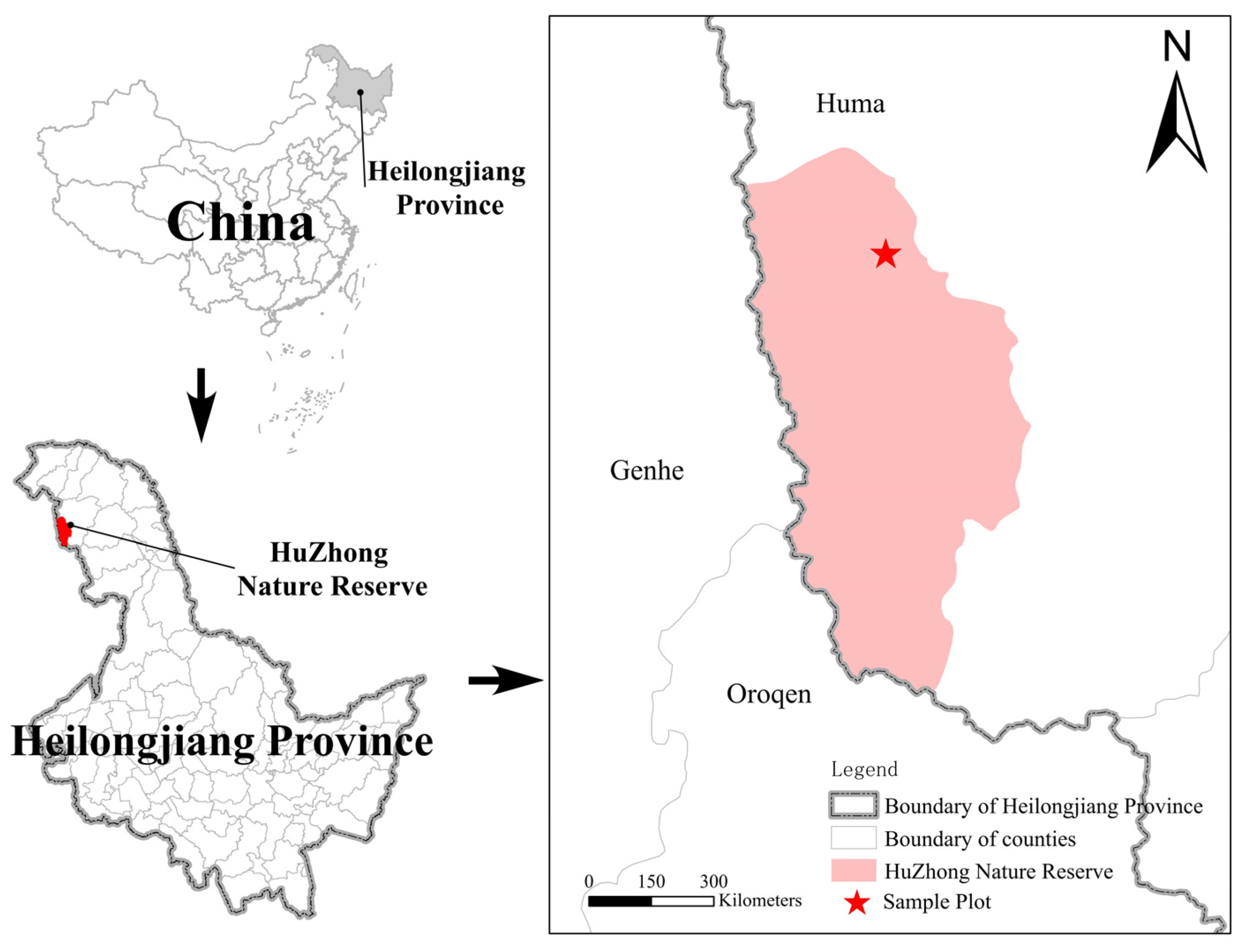 Microorganisms 13 01262 g001