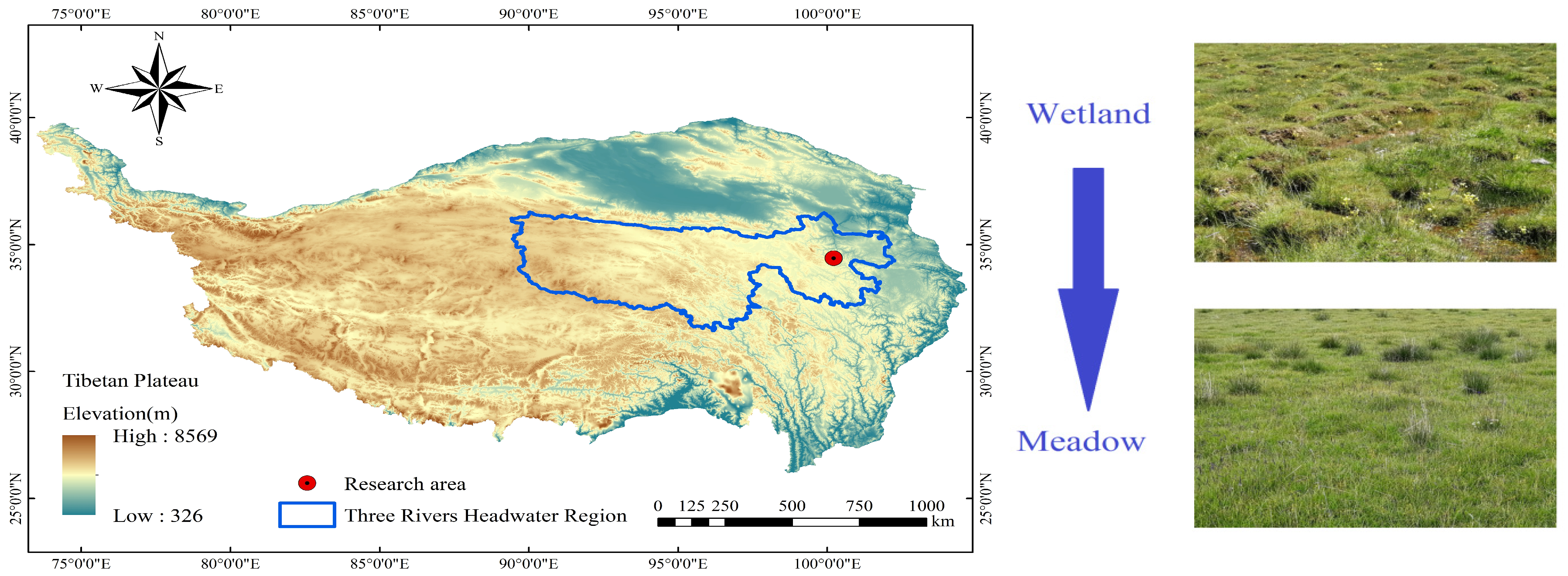 Microorganisms 13 01263 g001