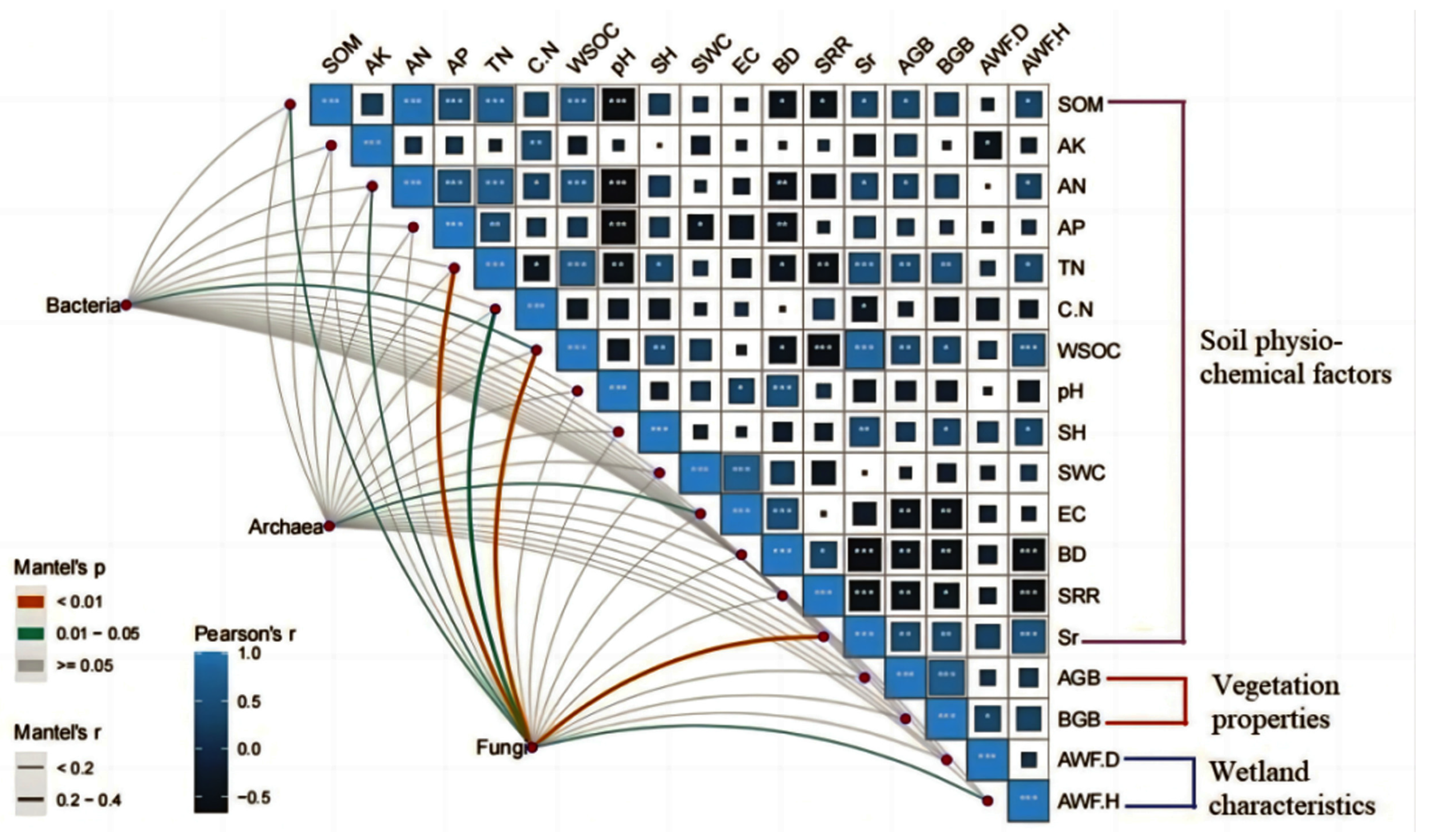 Microorganisms 13 01263 g004