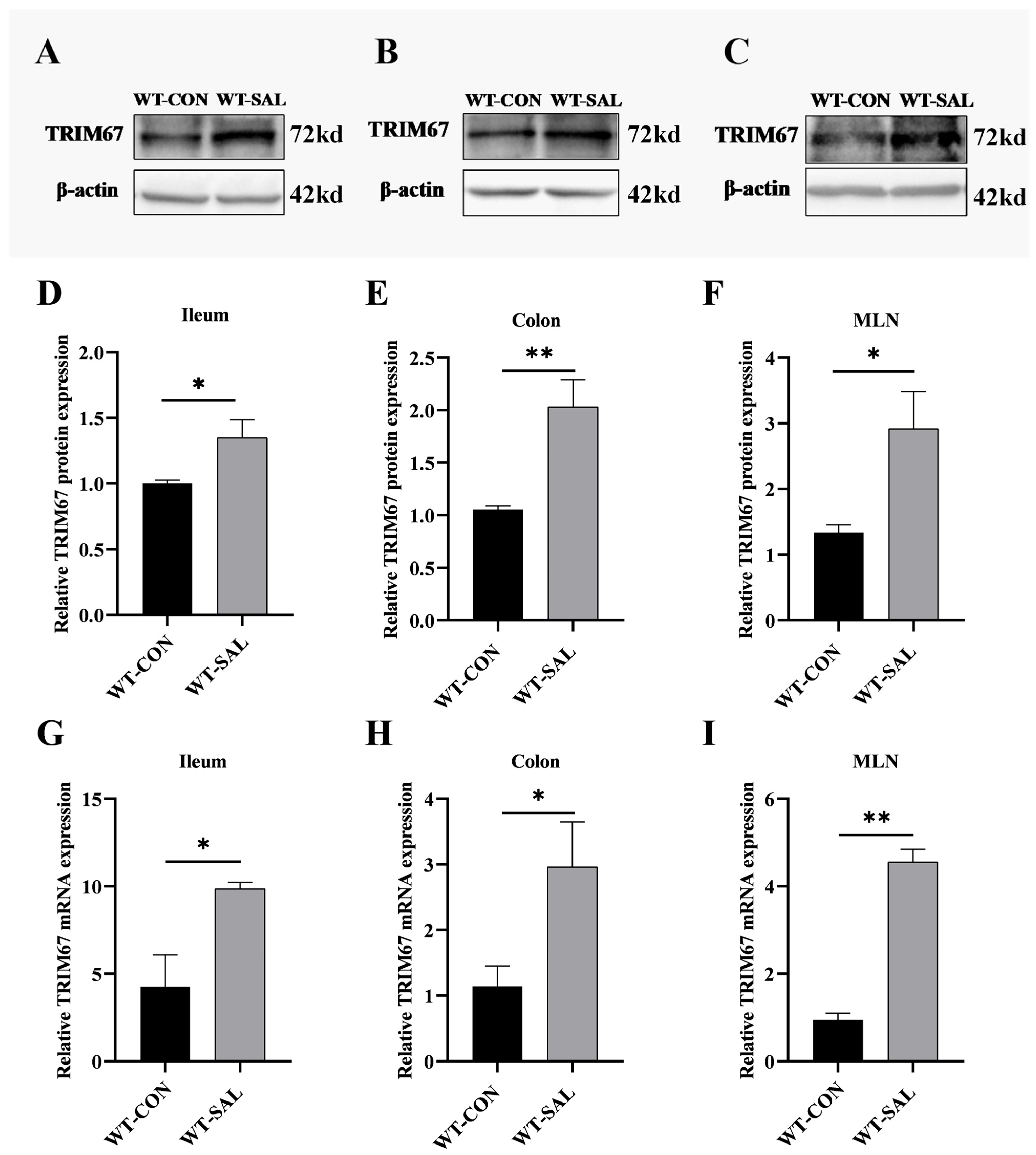 Microorganisms 13 01267 g001