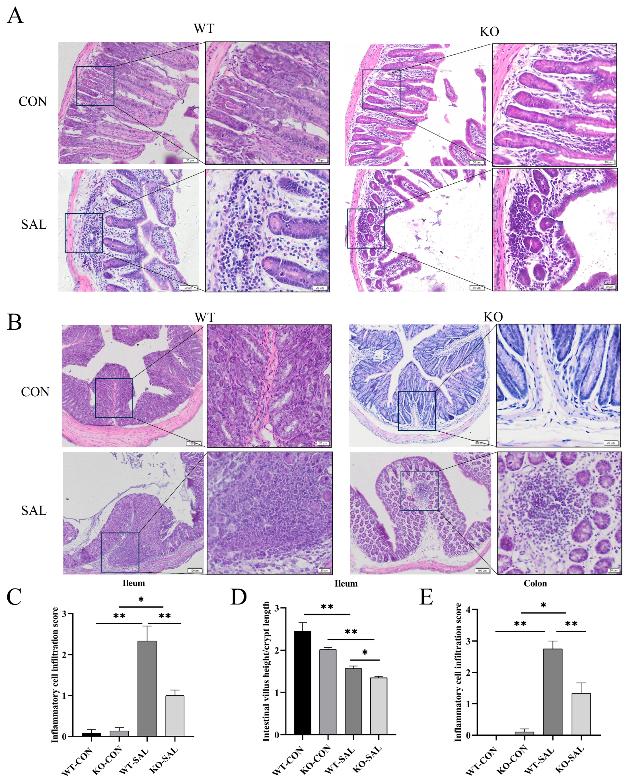 Microorganisms 13 01267 g003