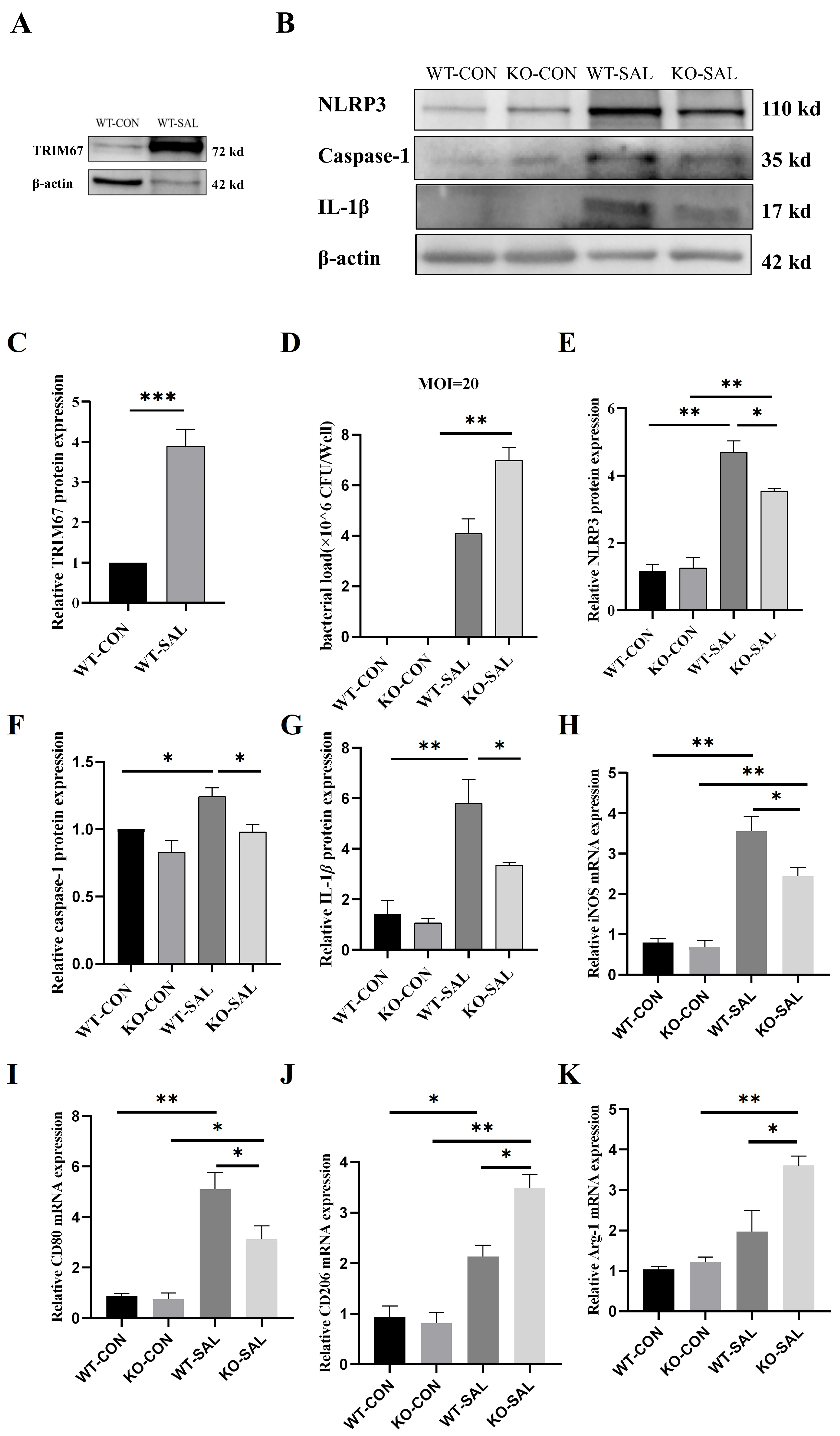 Microorganisms 13 01267 g008