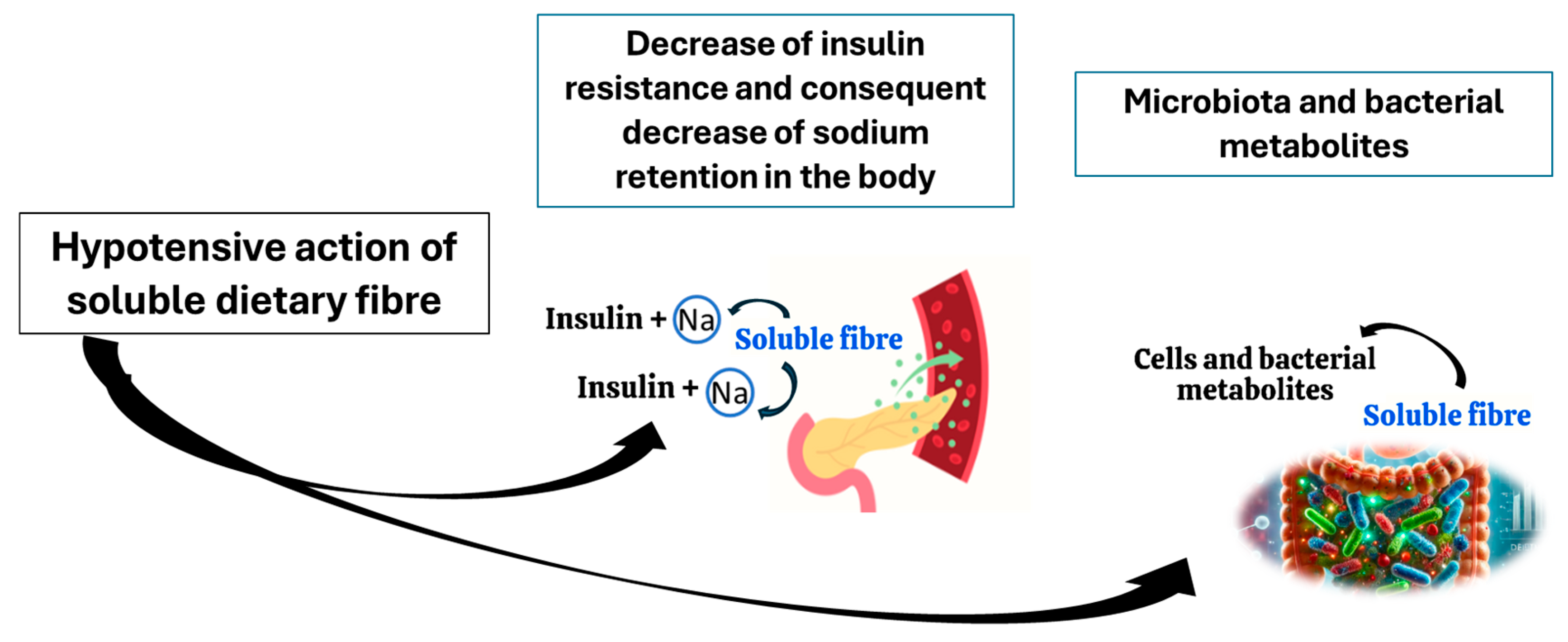 Microorganisms 13 01269 g002