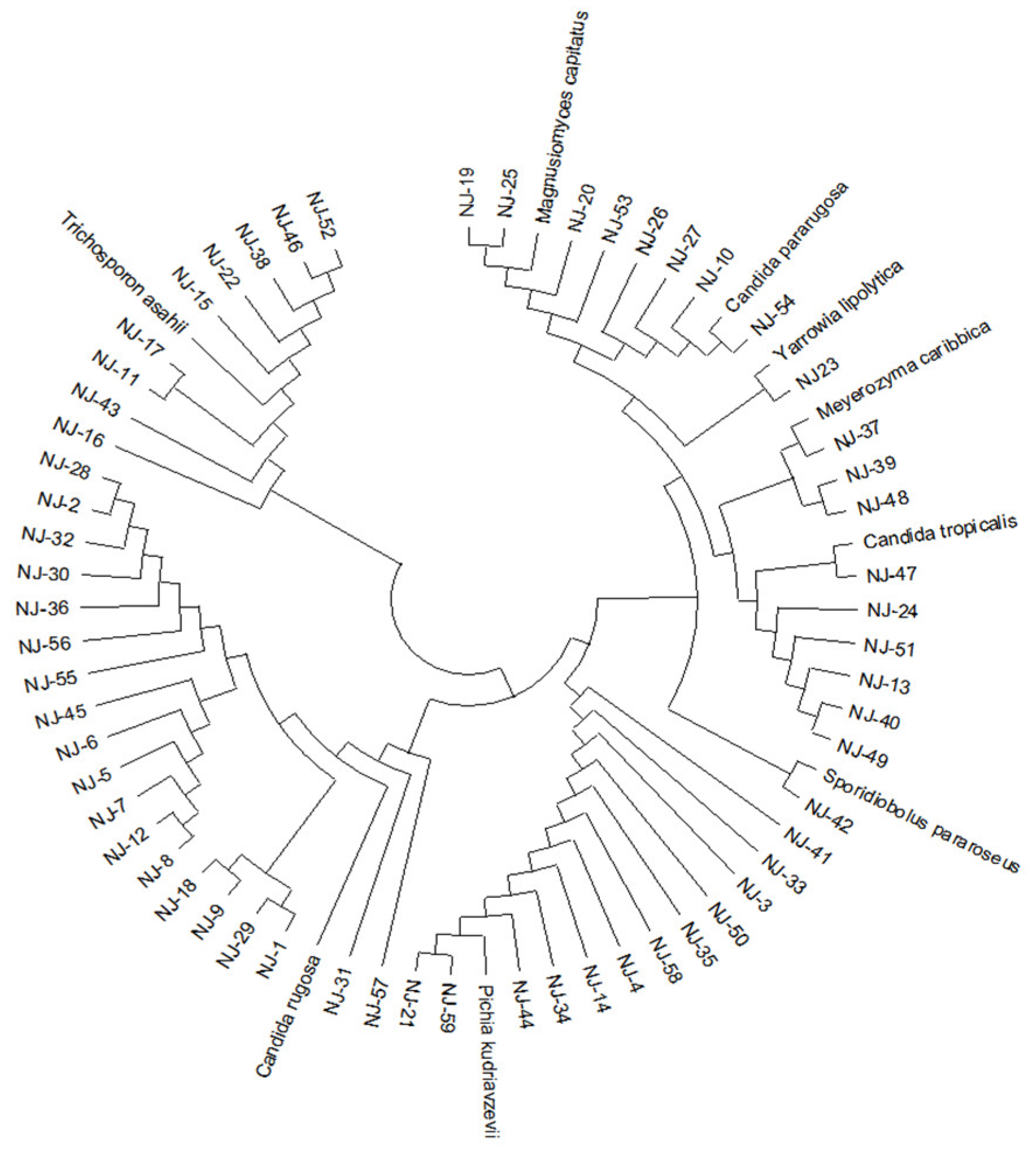 Microorganisms 13 01270 g001