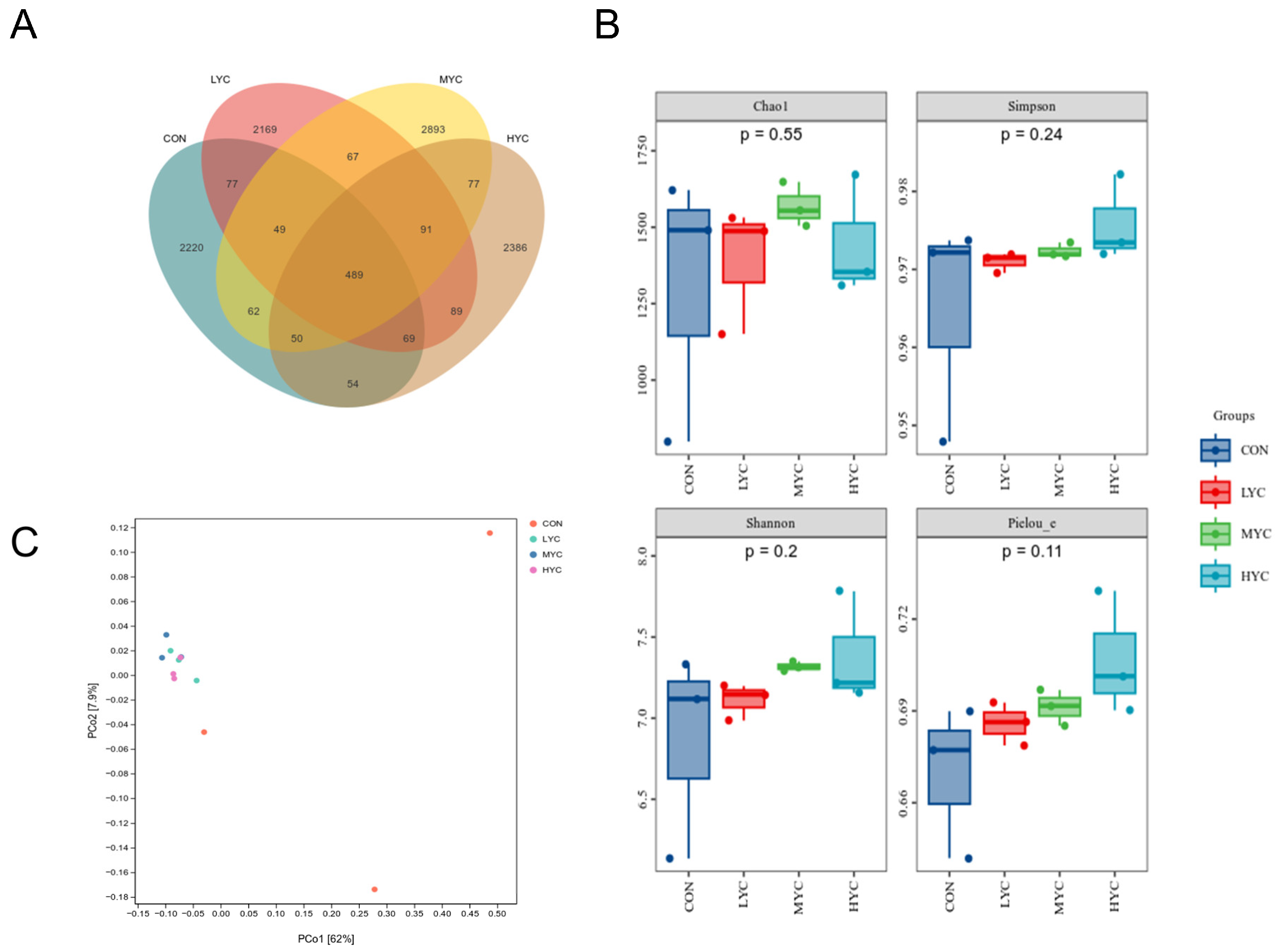 Microorganisms 13 01270 g006
