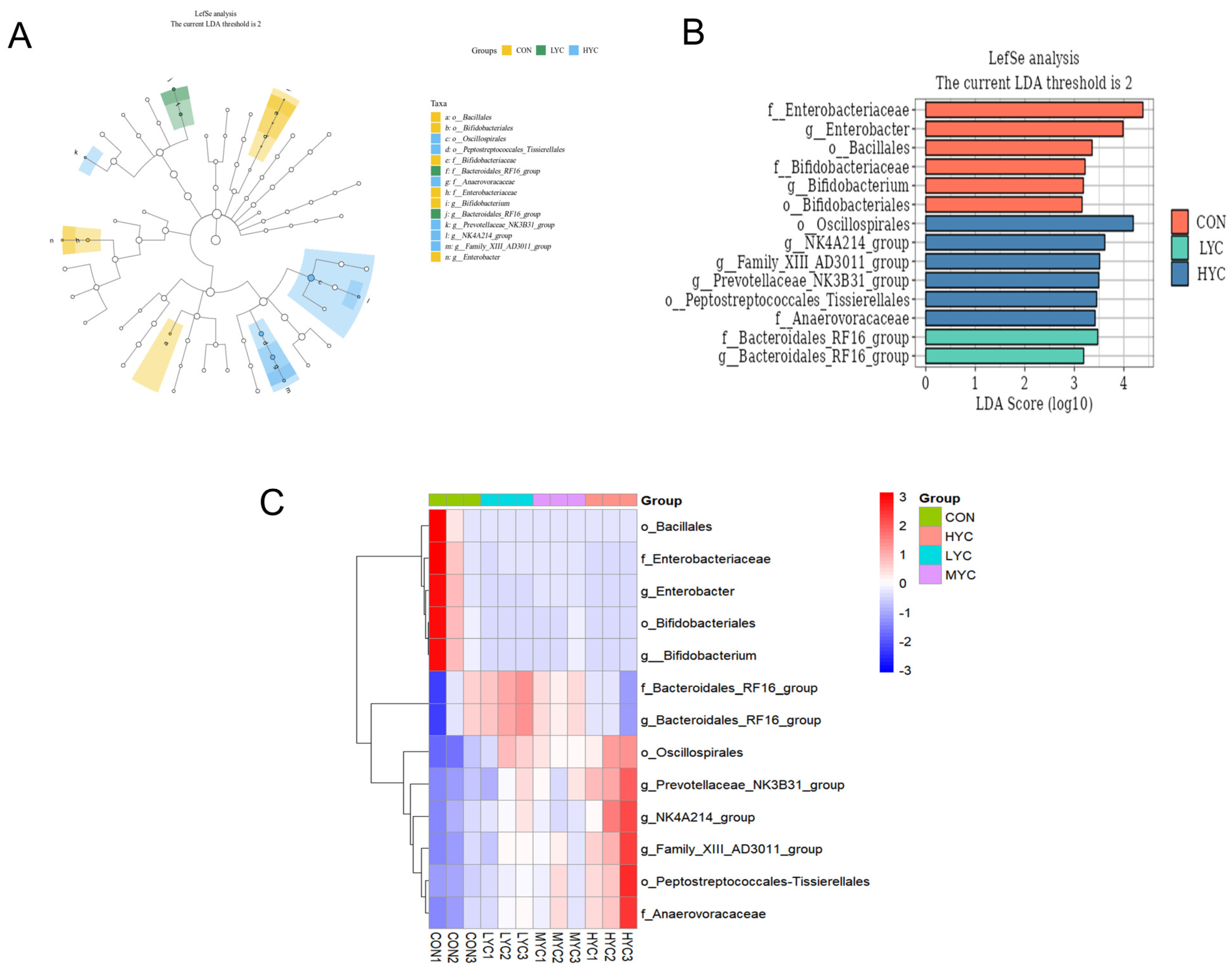 Microorganisms 13 01270 g008