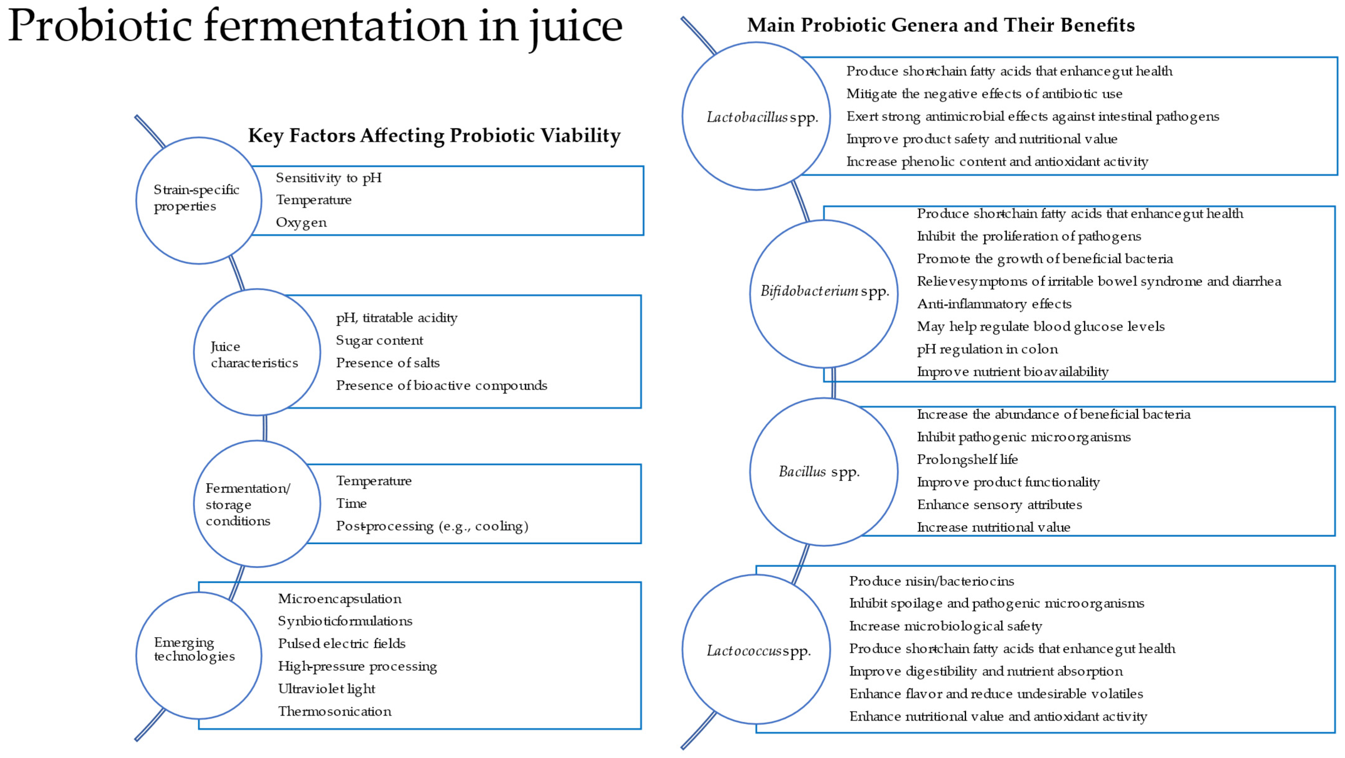 Microorganisms 13 01272 g001