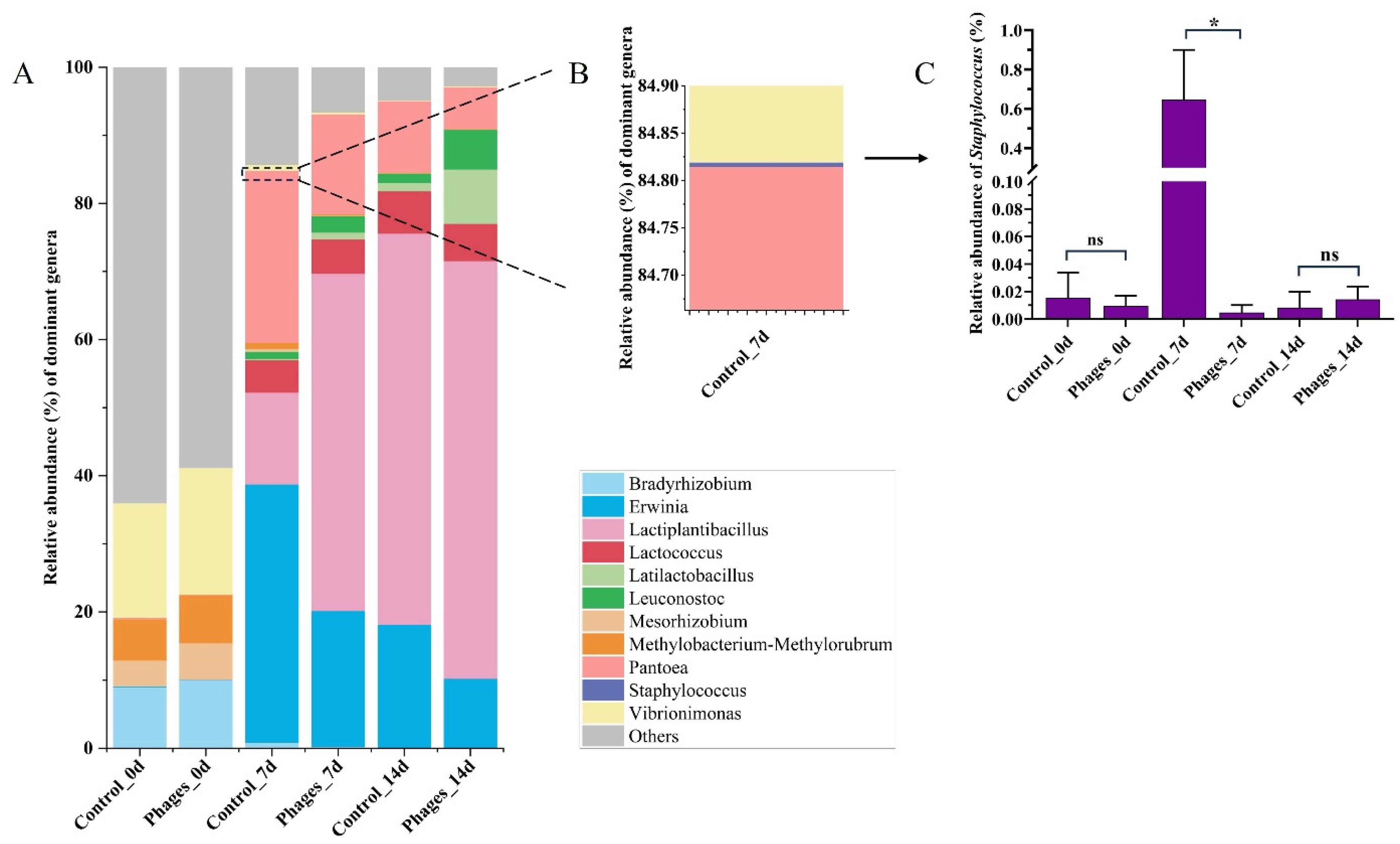 Microorganisms 13 01273 g006