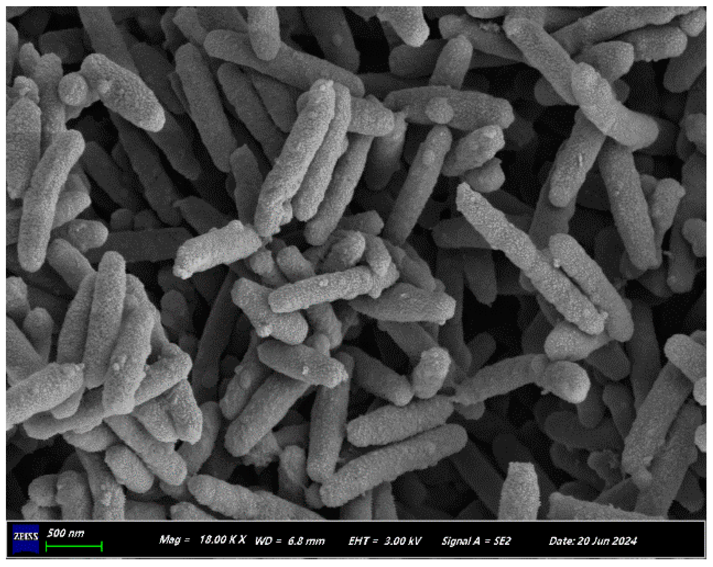 Microorganisms 13 01274 g001