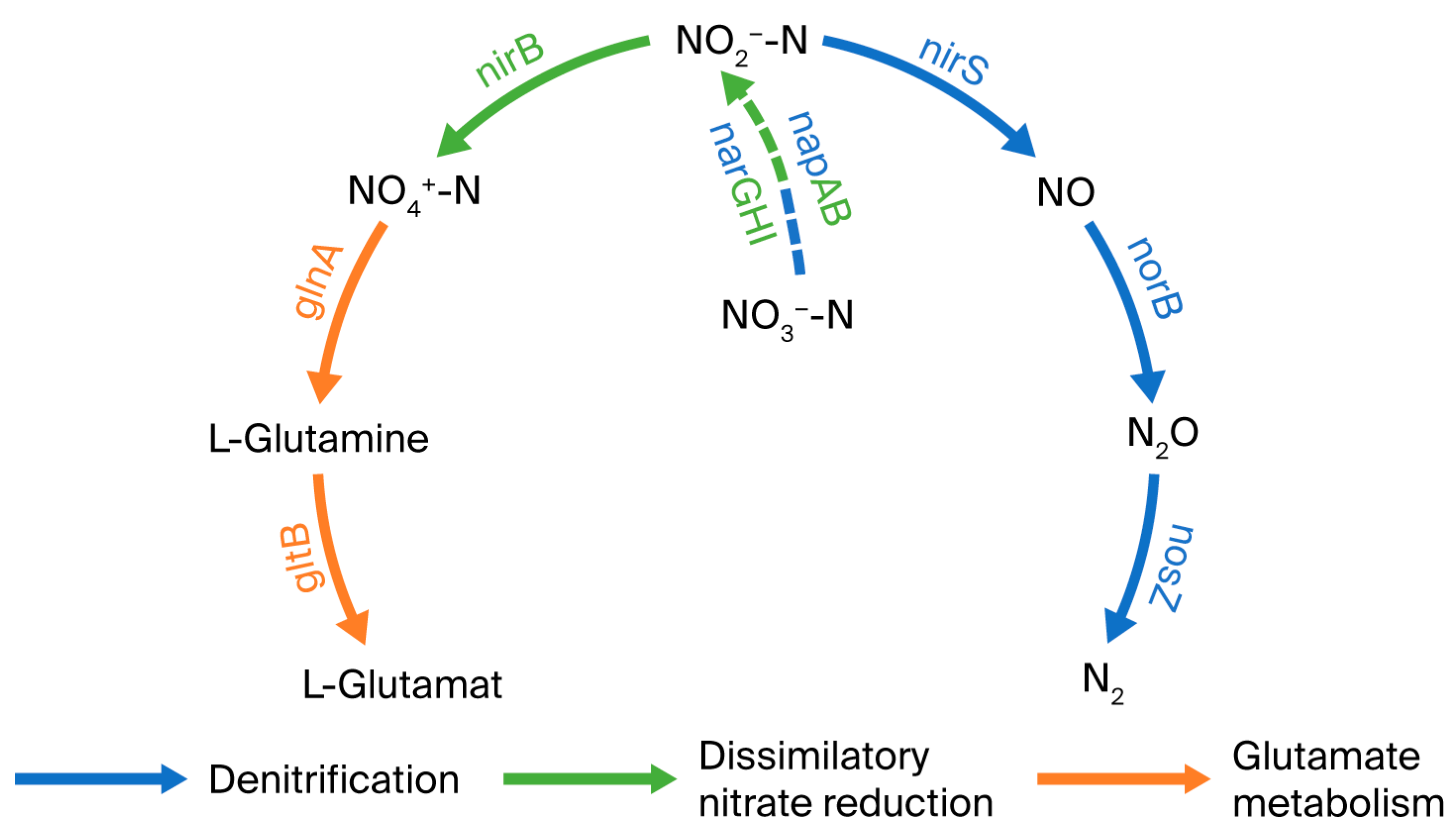 Microorganisms 13 01274 g007