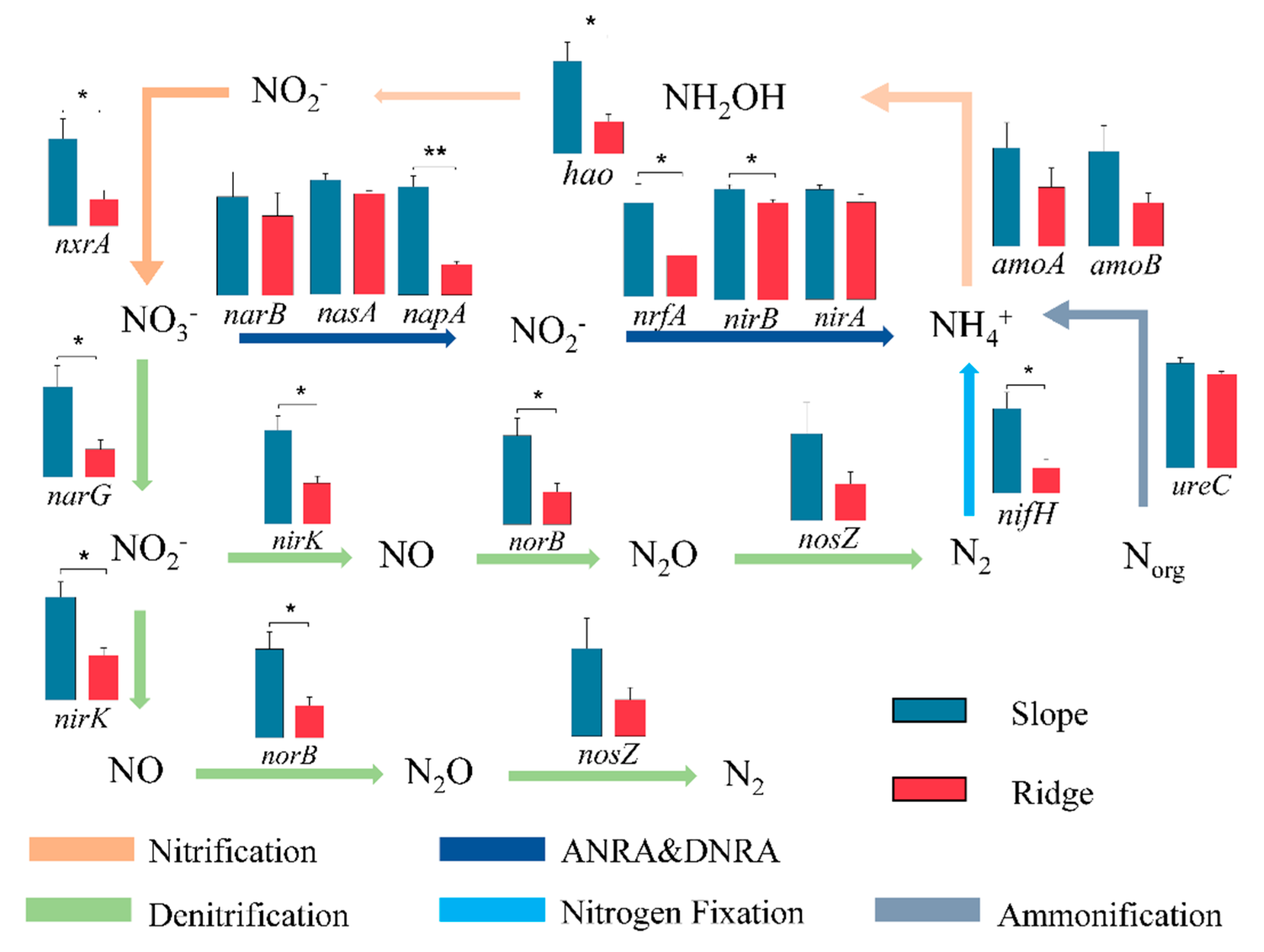 Microorganisms 13 01275 g004