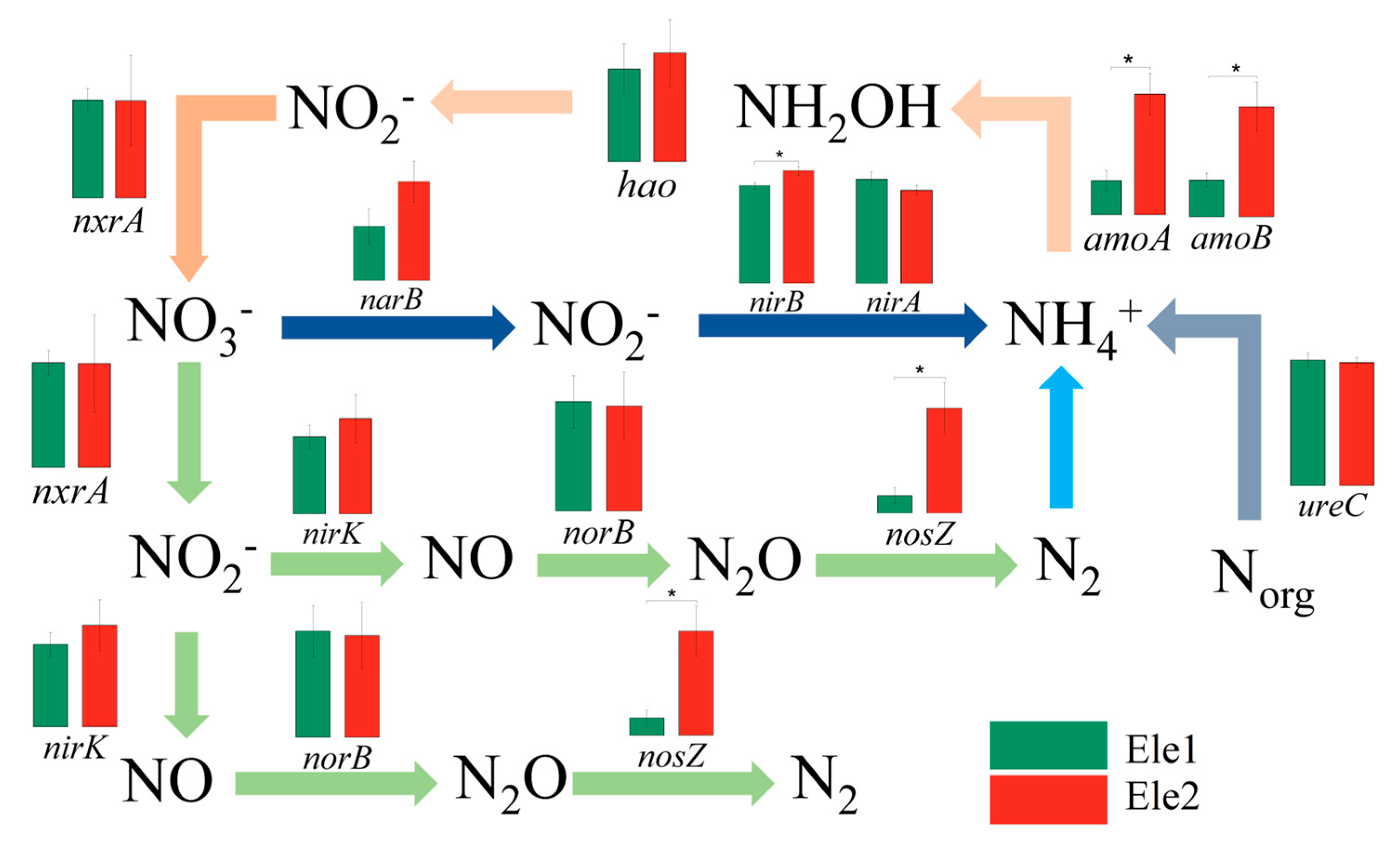 Microorganisms 13 01275 g005