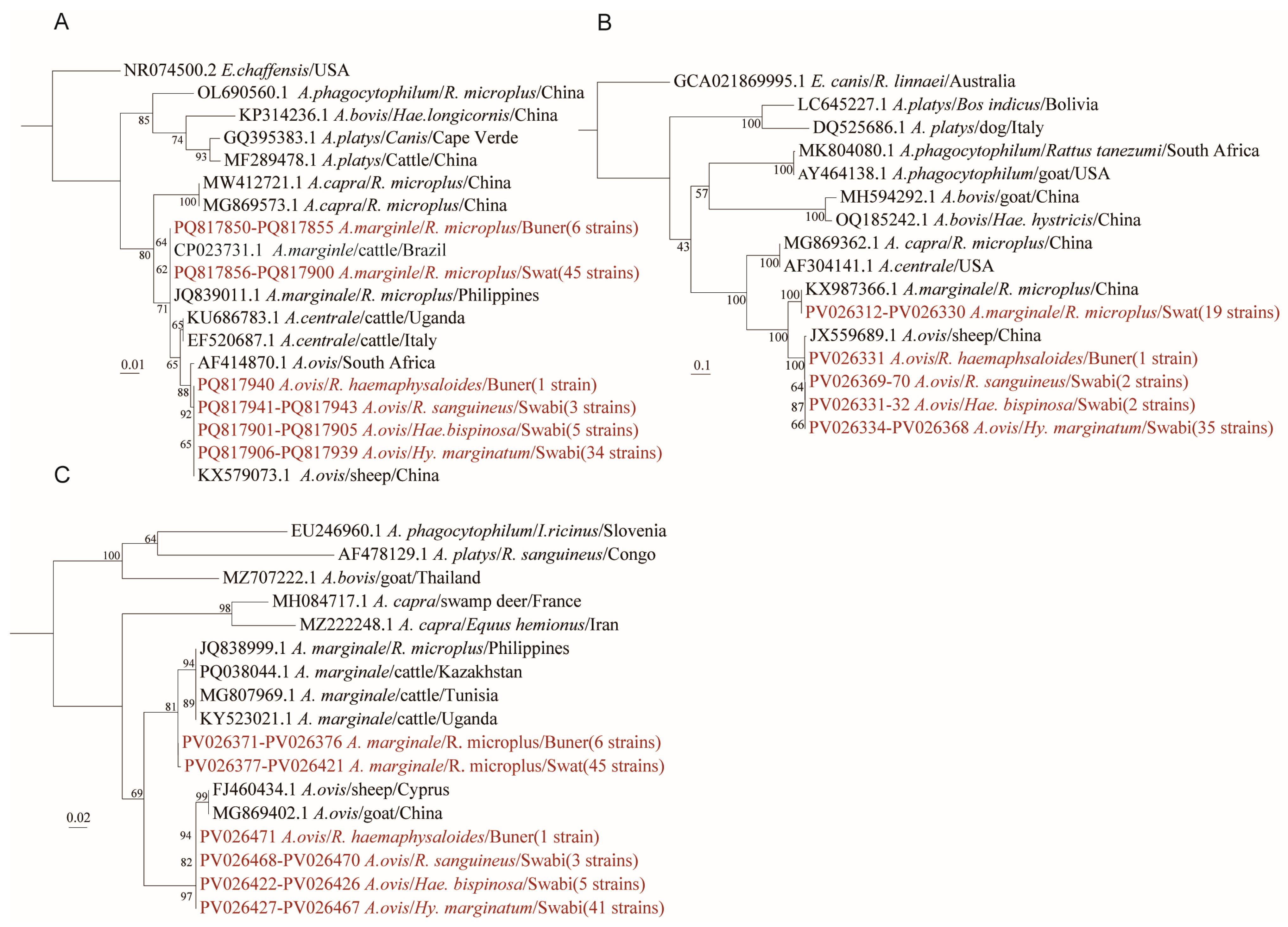 Microorganisms 13 01276 g002