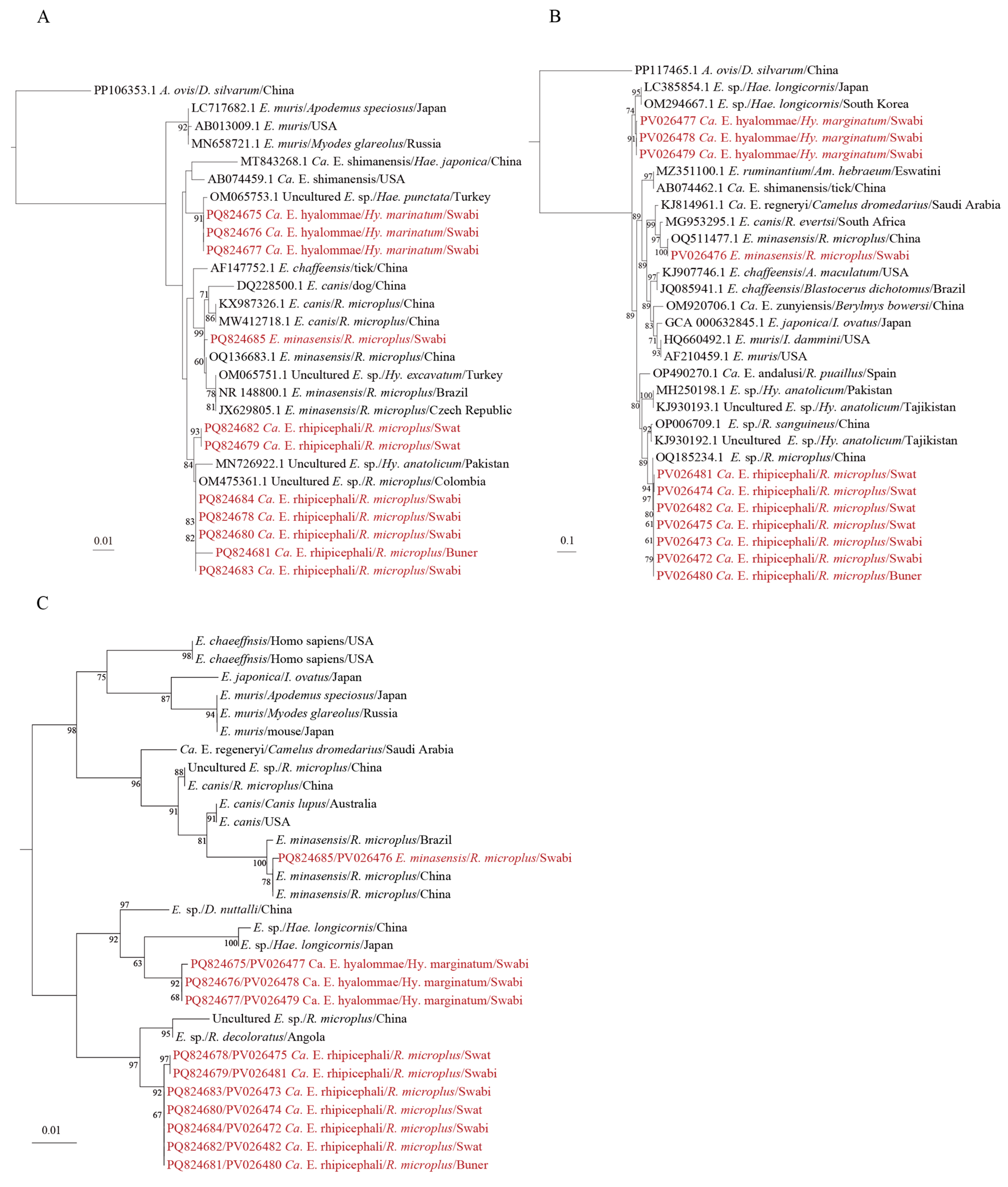 Microorganisms 13 01276 g003