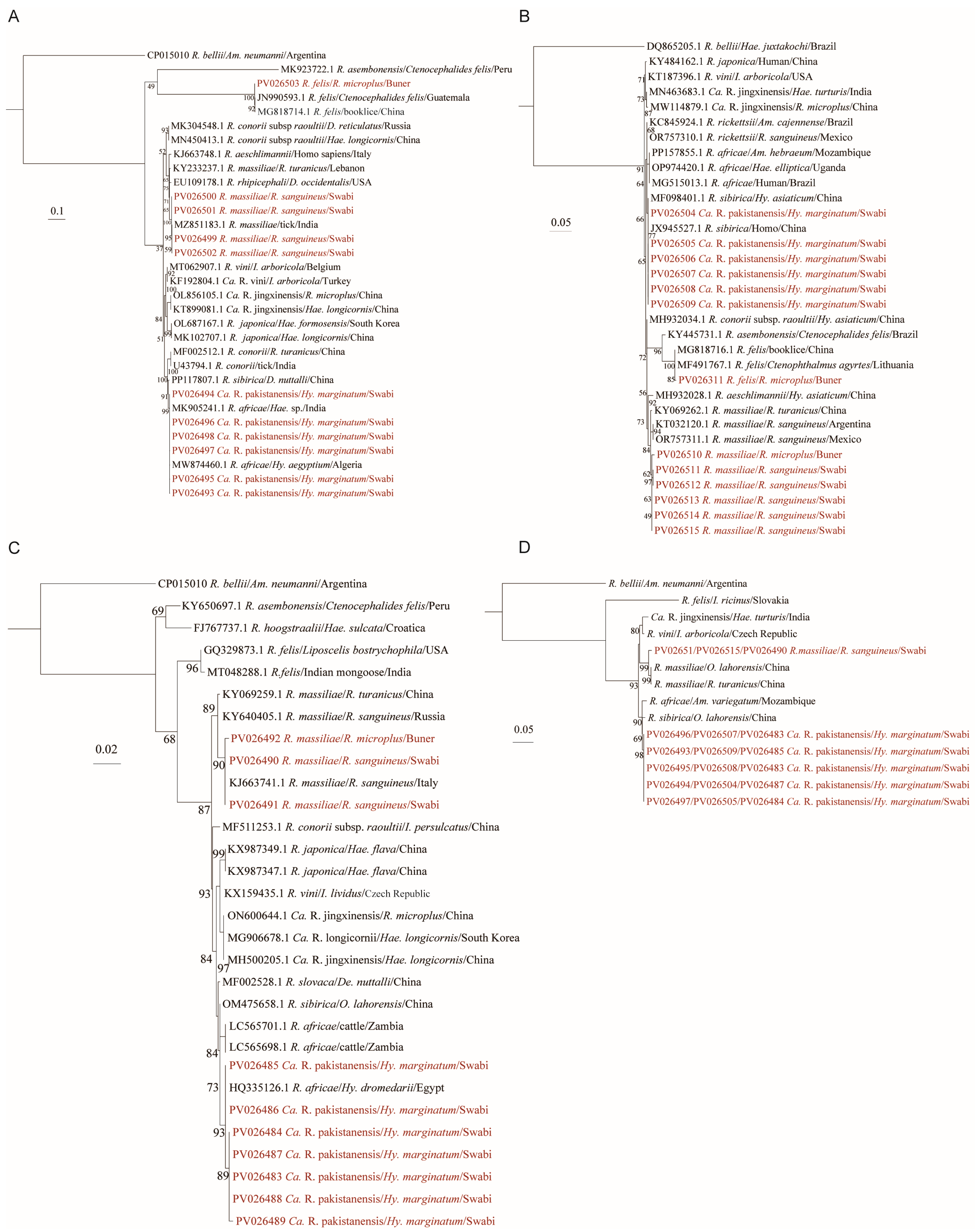 Microorganisms 13 01276 g004