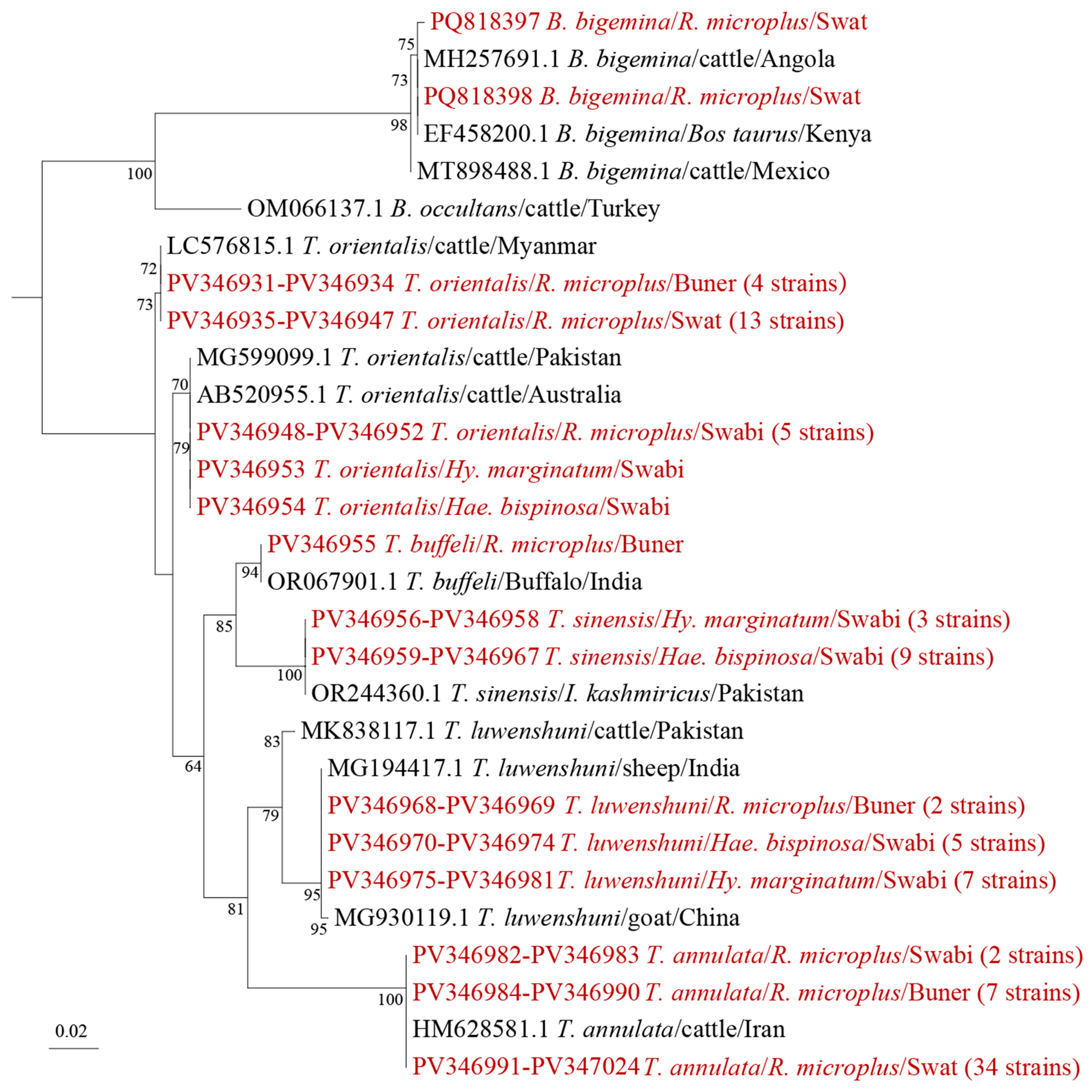 Microorganisms 13 01276 g005