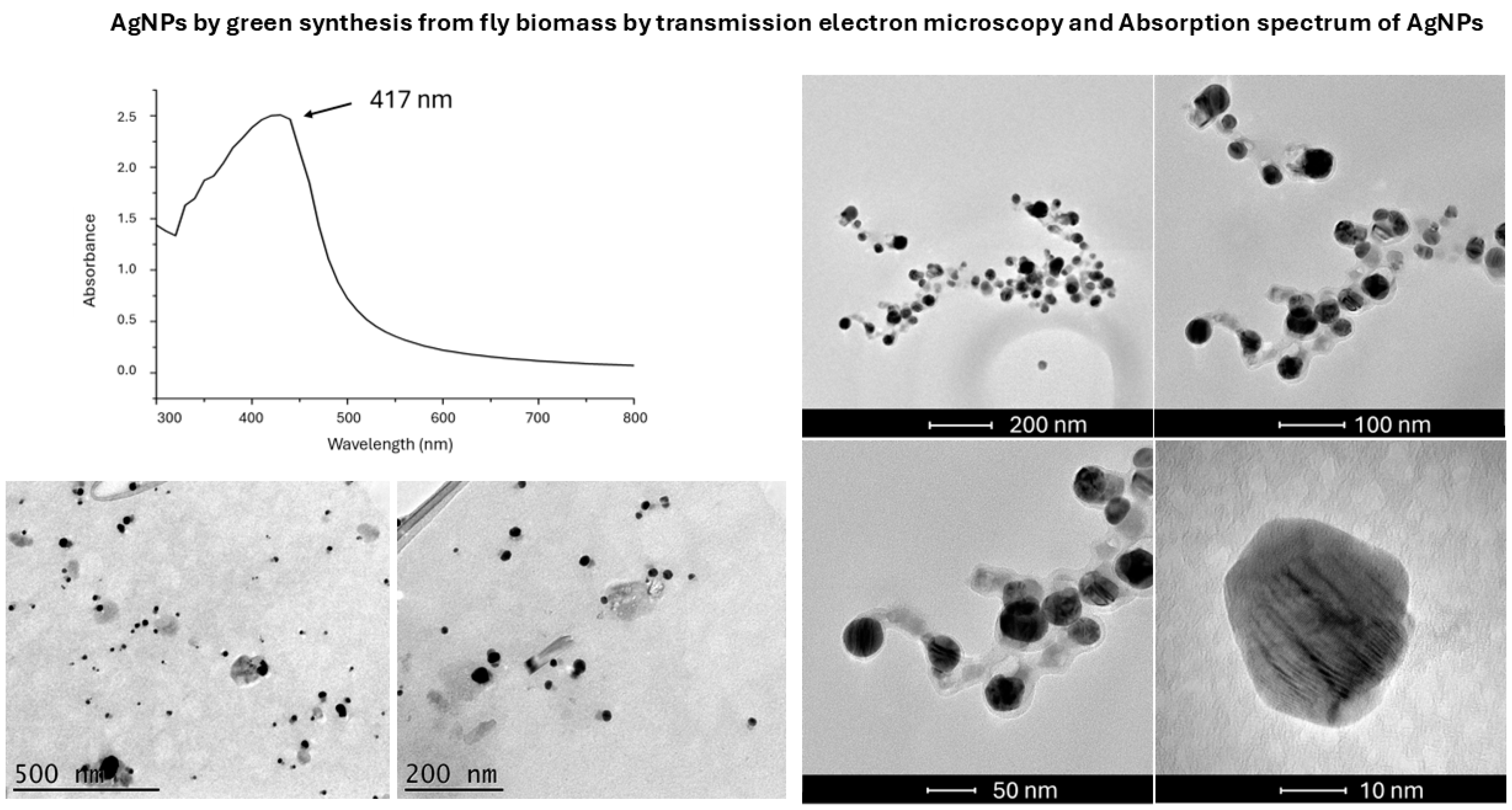 Microorganisms 13 01277 g002