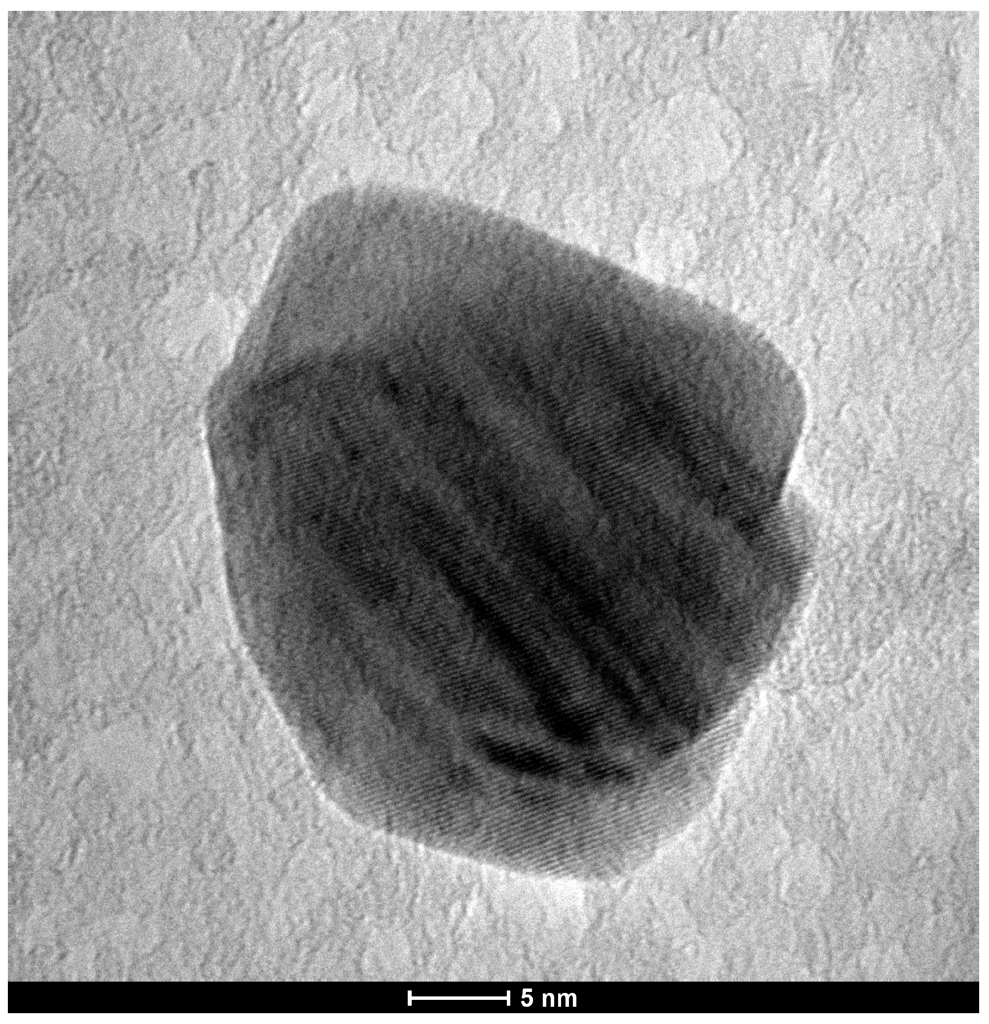 Microorganisms 13 01277 g004