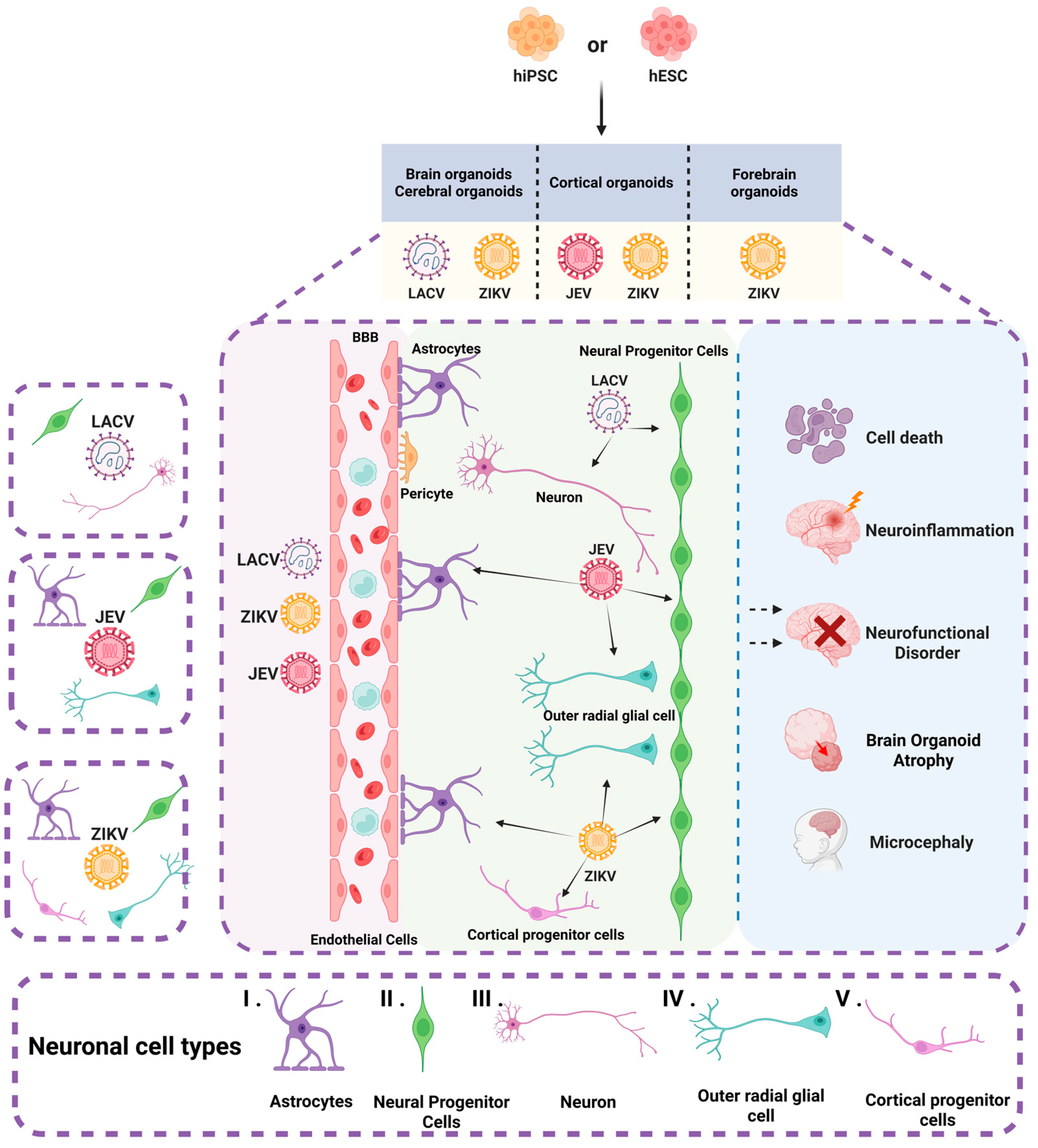 Microorganisms 13 01281 g003