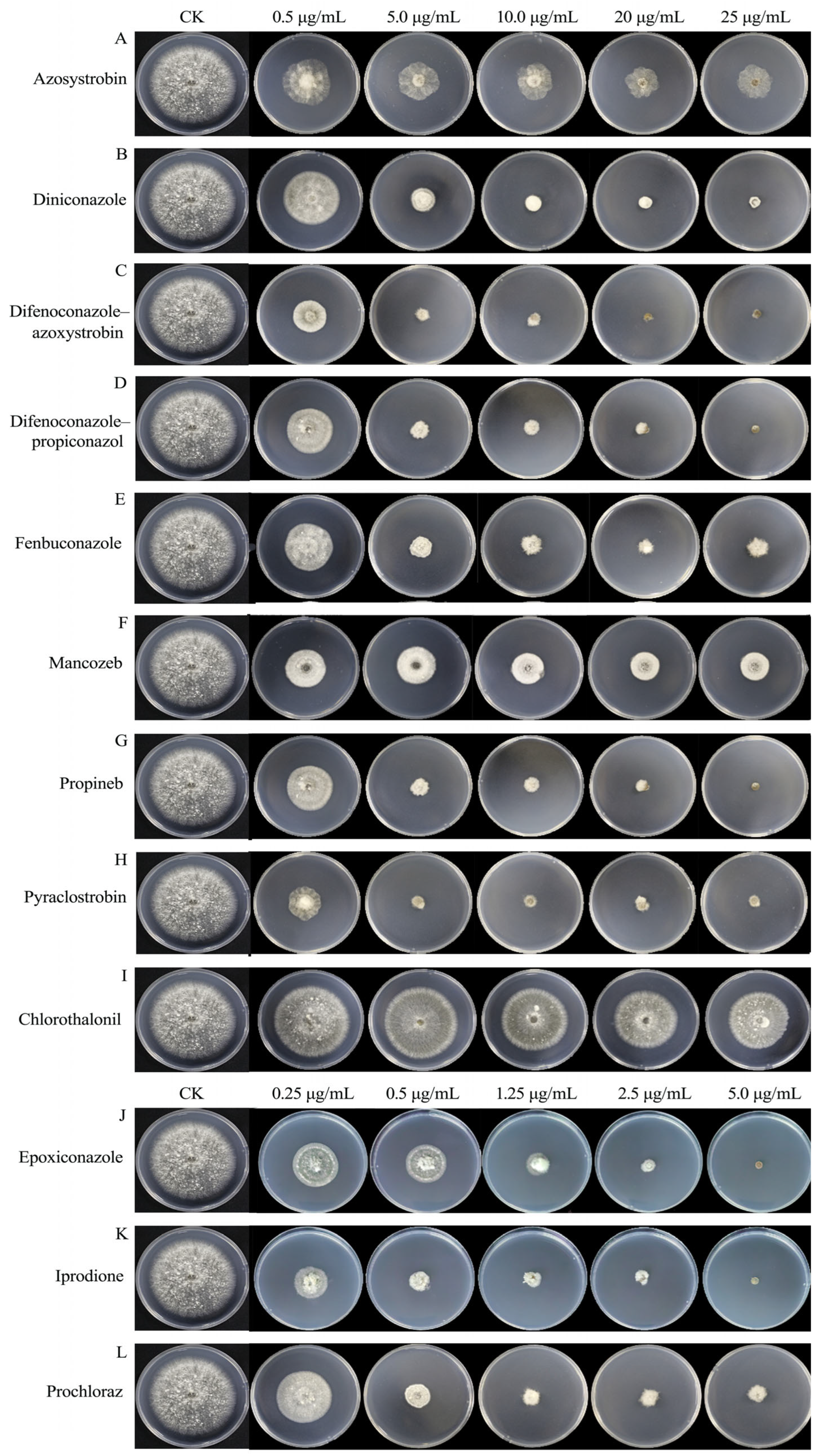 Microorganisms 13 01285 g008