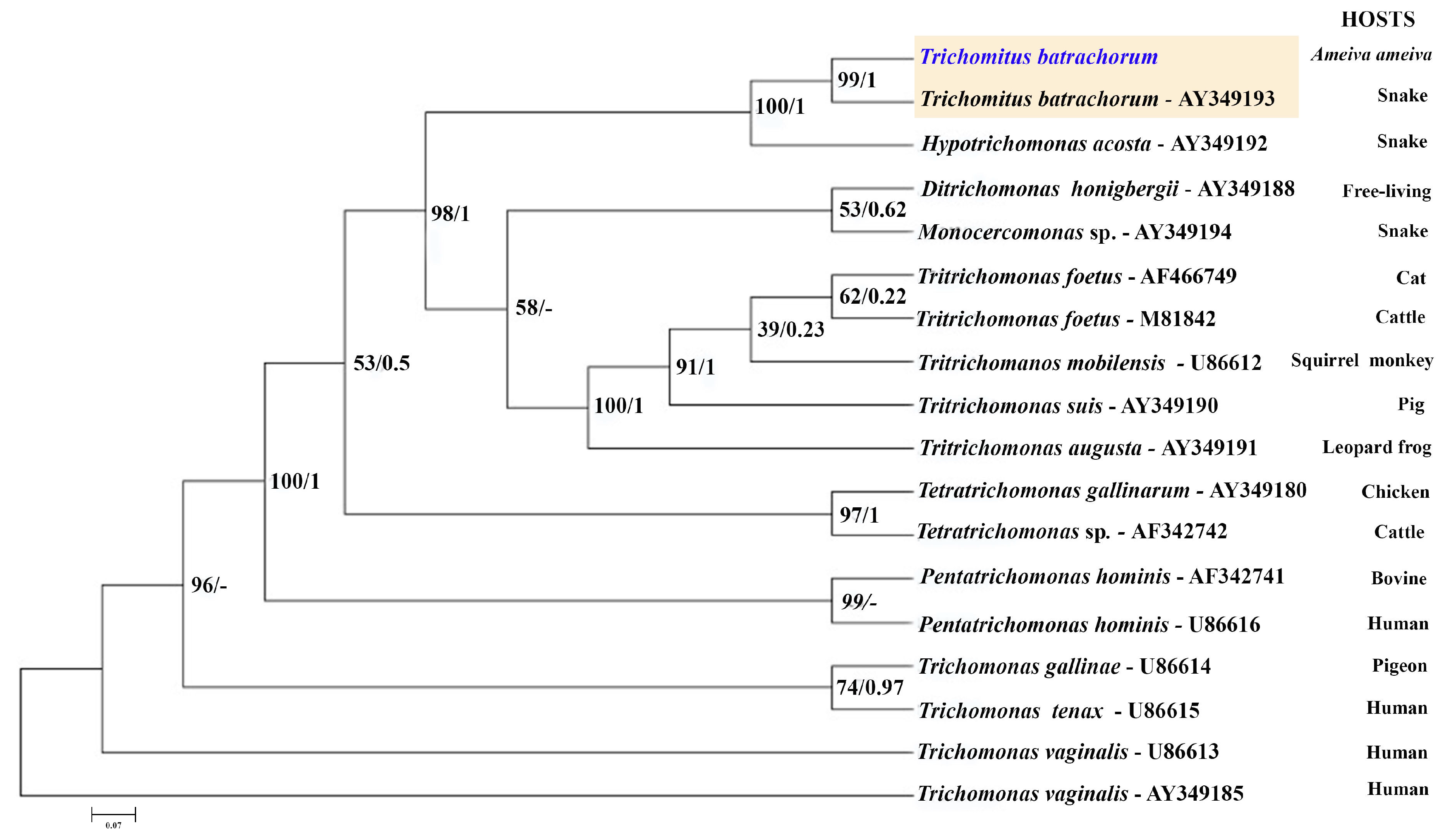 Microorganisms 13 01286 g006