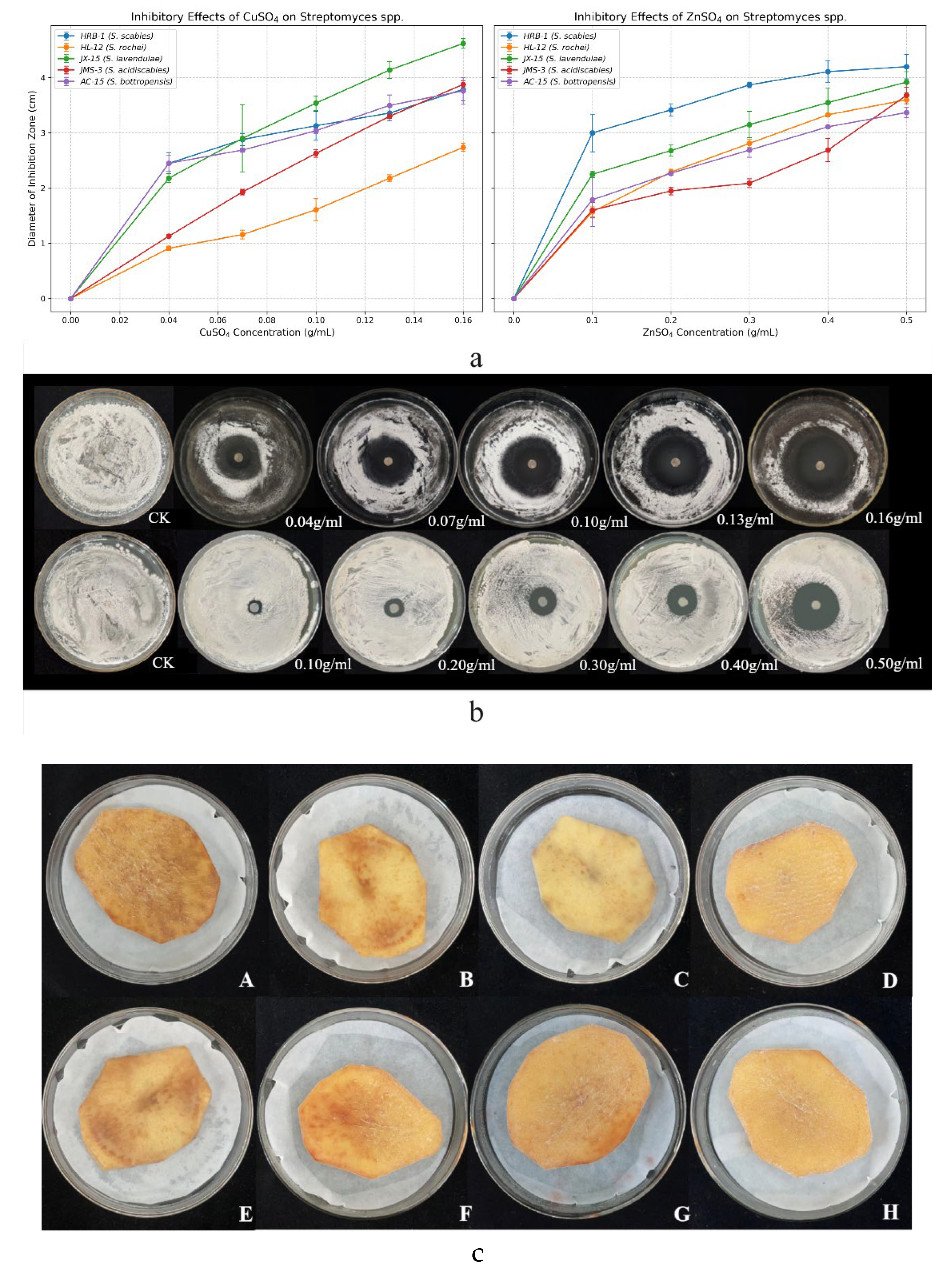 Microorganisms 13 01288 g001 Microorganisms 13 01288 g001