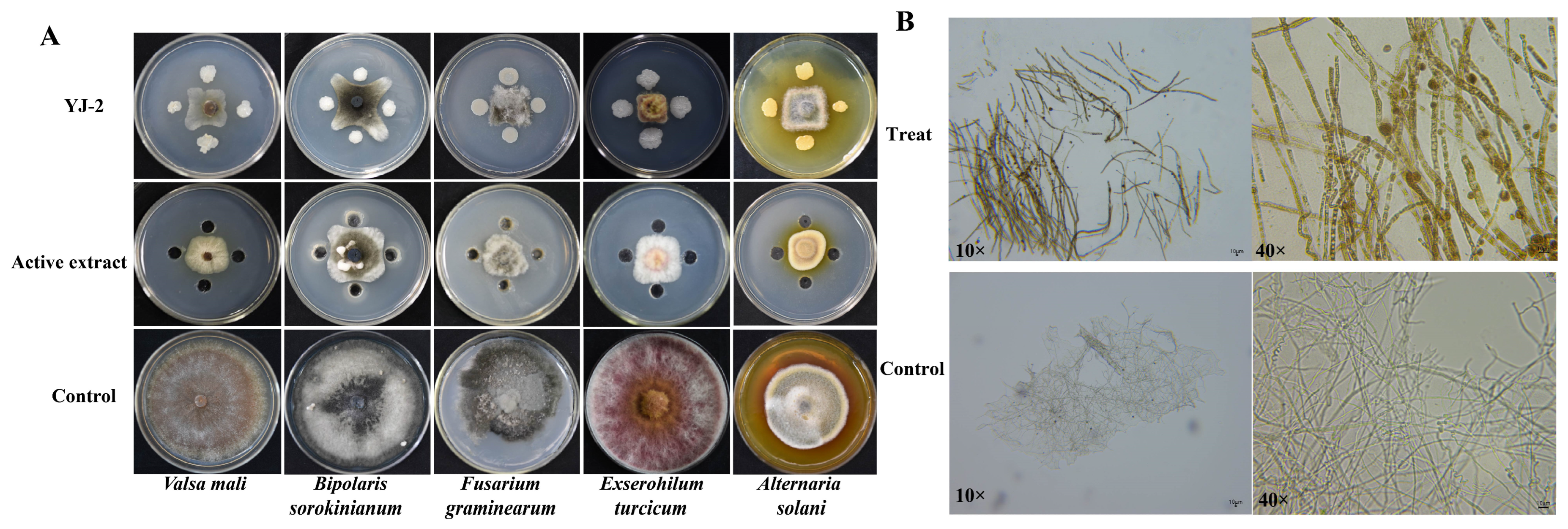 Microorganisms 13 01289 g002