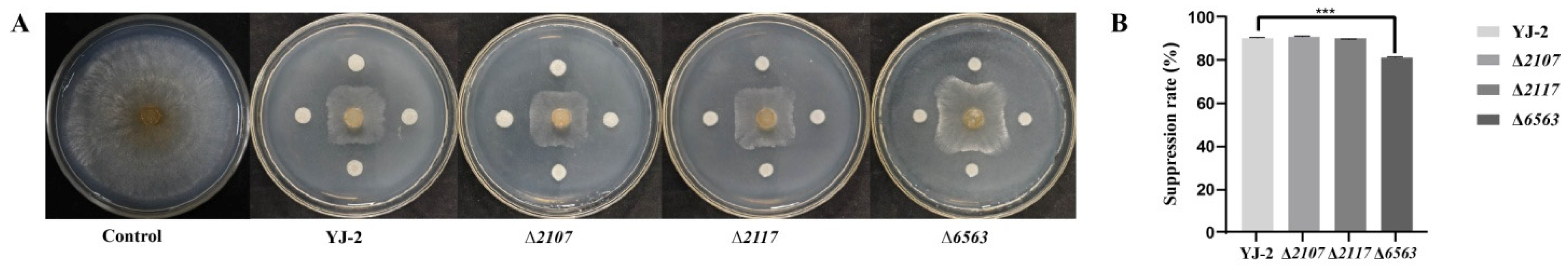 Microorganisms 13 01289 g006
