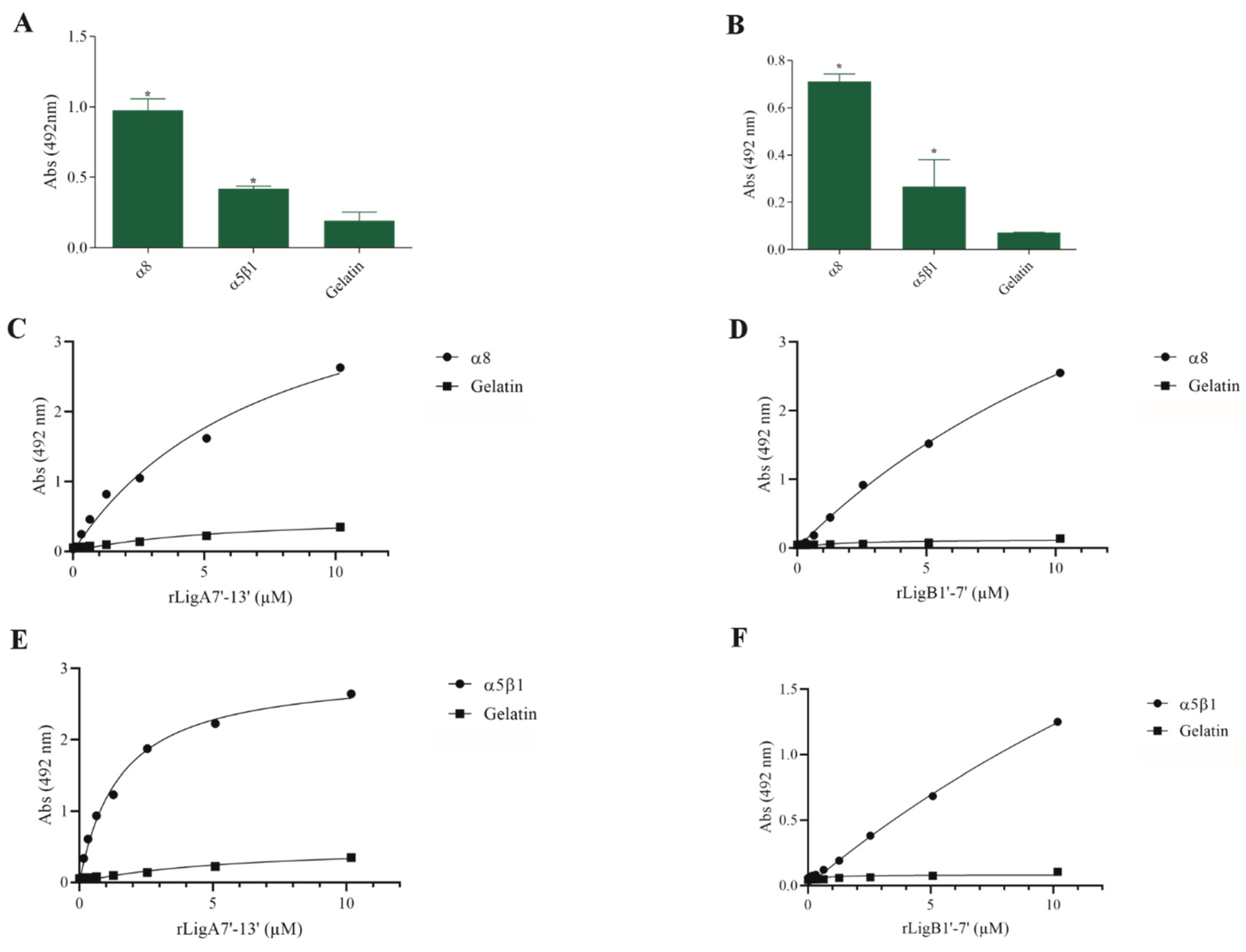 Microorganisms 13 01293 g004